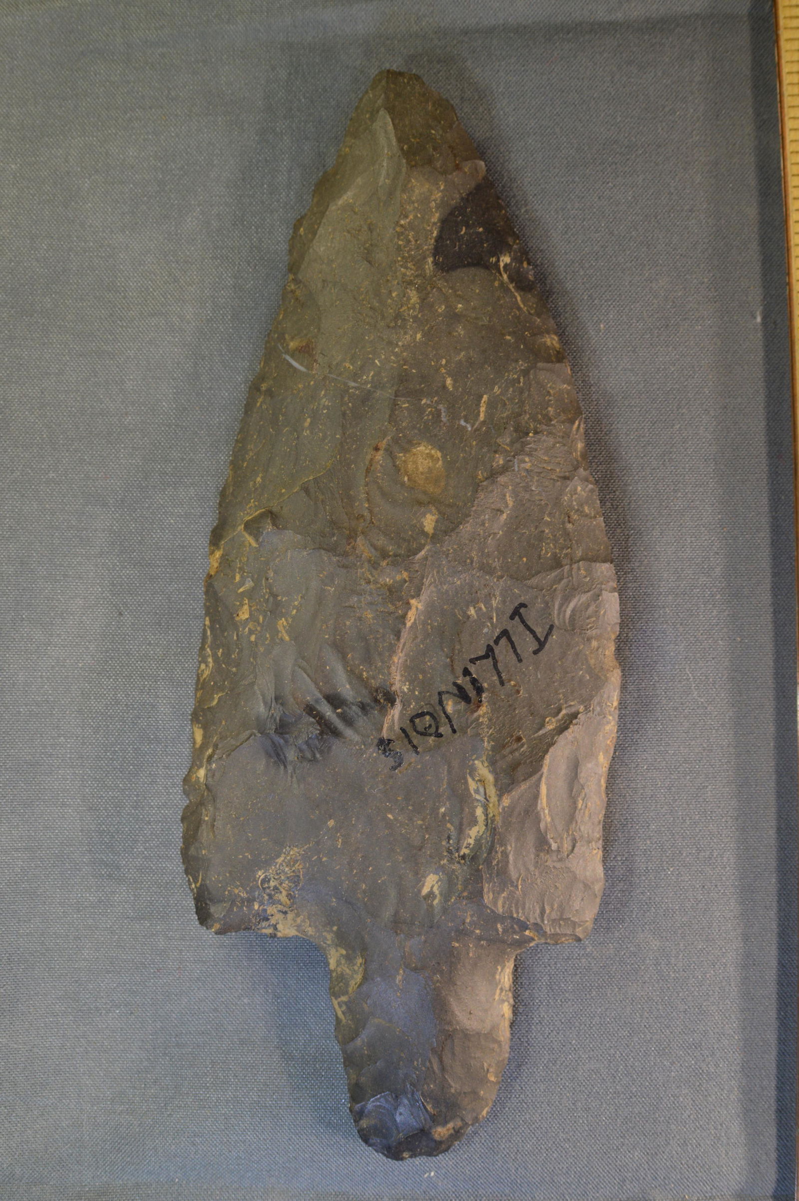 5  9/16" Adena Arrowhead w/COA (1 of 7)