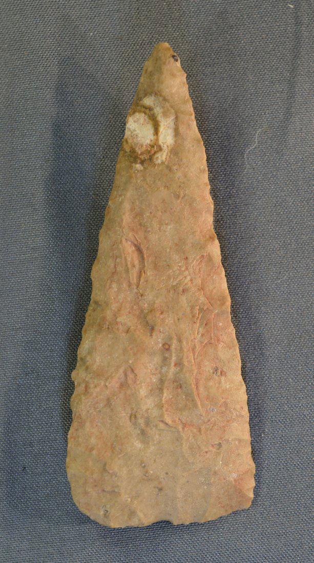 2  15/16" Covington Arrowhead (1 of 6)