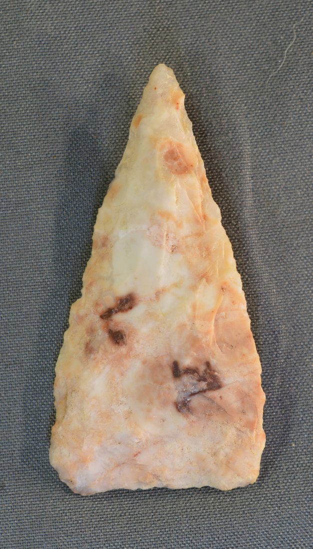 2" Tortuga Arrowhead (1 of 6)