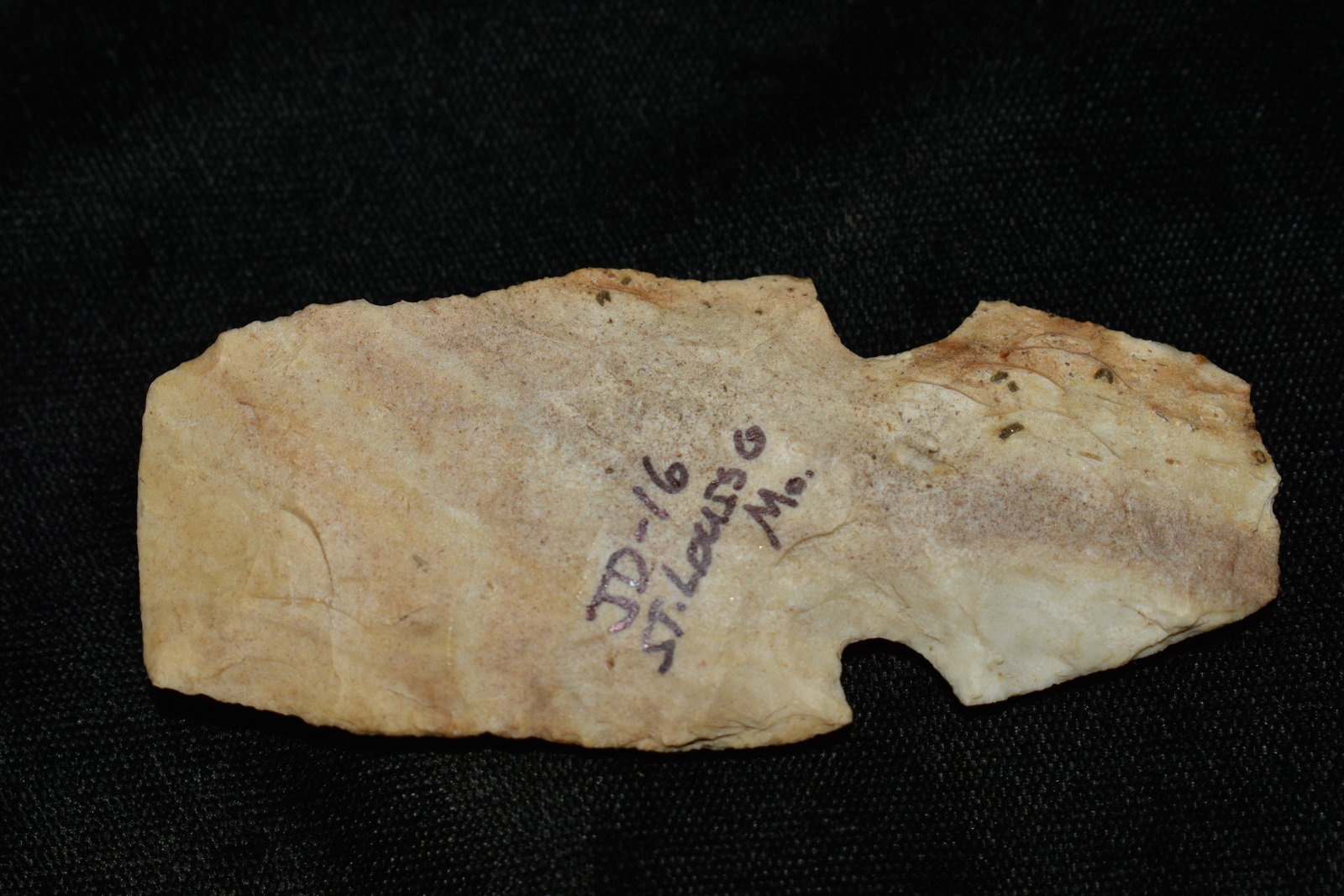 3 1/8" Notched Ovoid Gouge: 3 1/8" Notched Ovoid Gouge found in St. Louis County, Missouri. From the lifetime collection of Dale Williams. Very rare piece. First Ovoid Gouge we have seen.