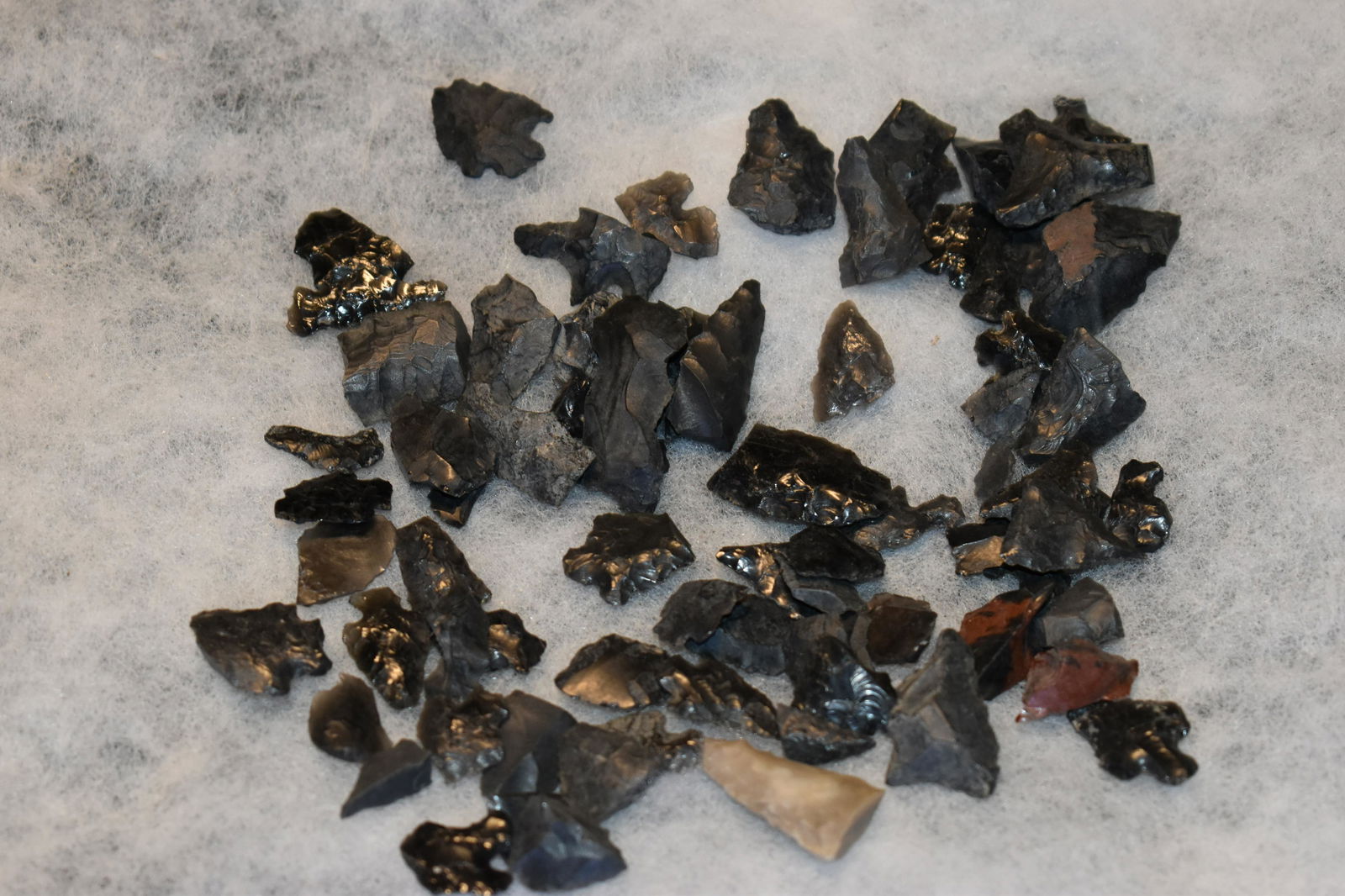 50 Broken Obsidian Arrowheads (1 of 2)