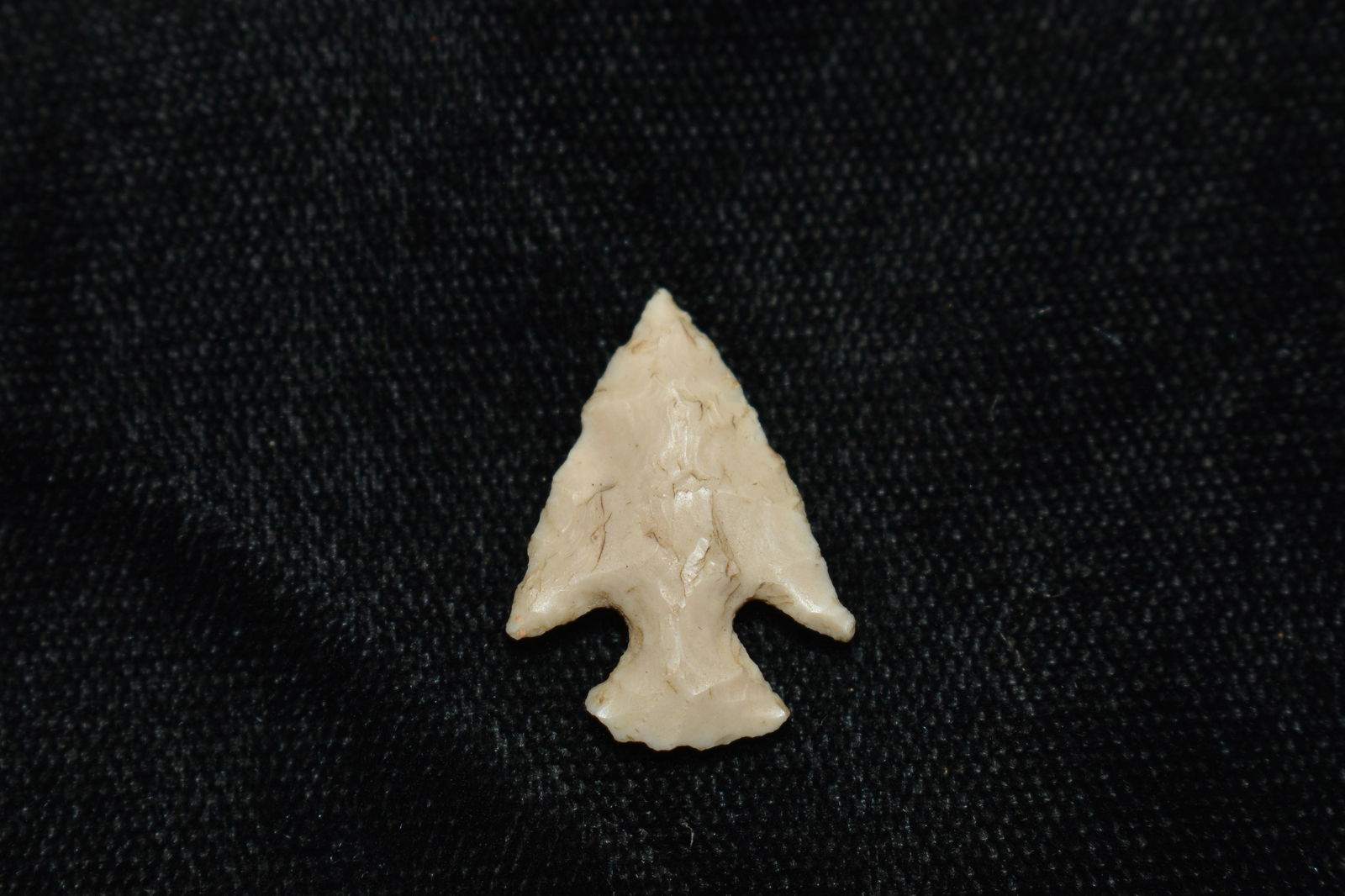 3/4" Fancy Eared Scallorn (1 of 4)