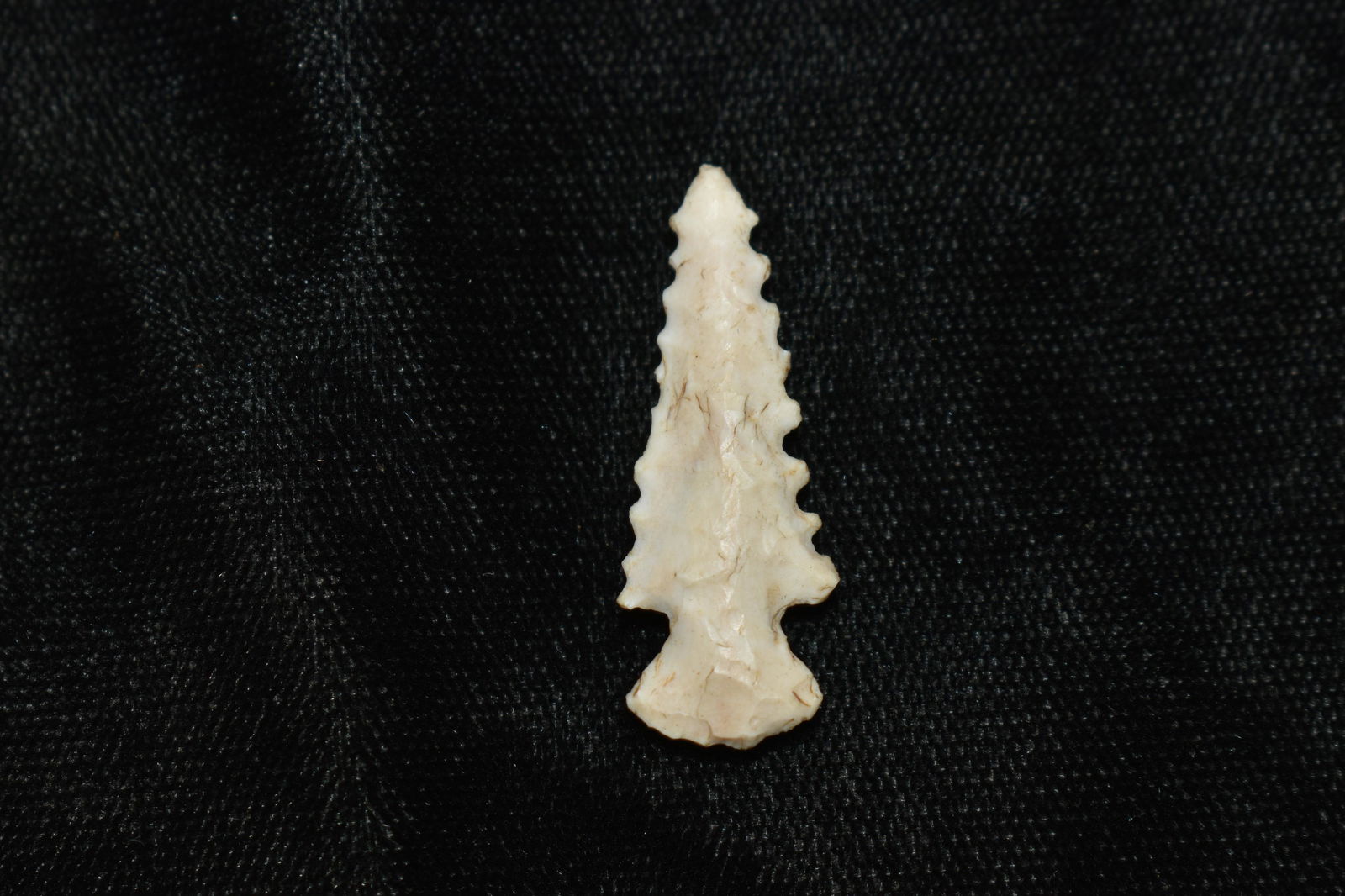 1 1/8" Wildly Serrated Scallorn Arrowhead (1 of 4)