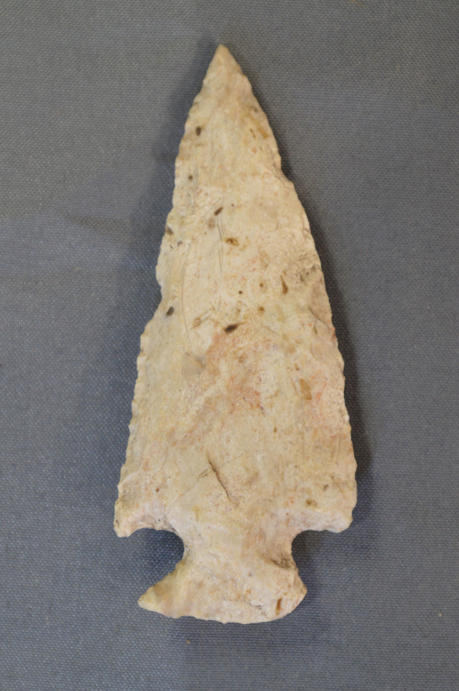 2  13/16" Motley Arrowhead (1 of 7)