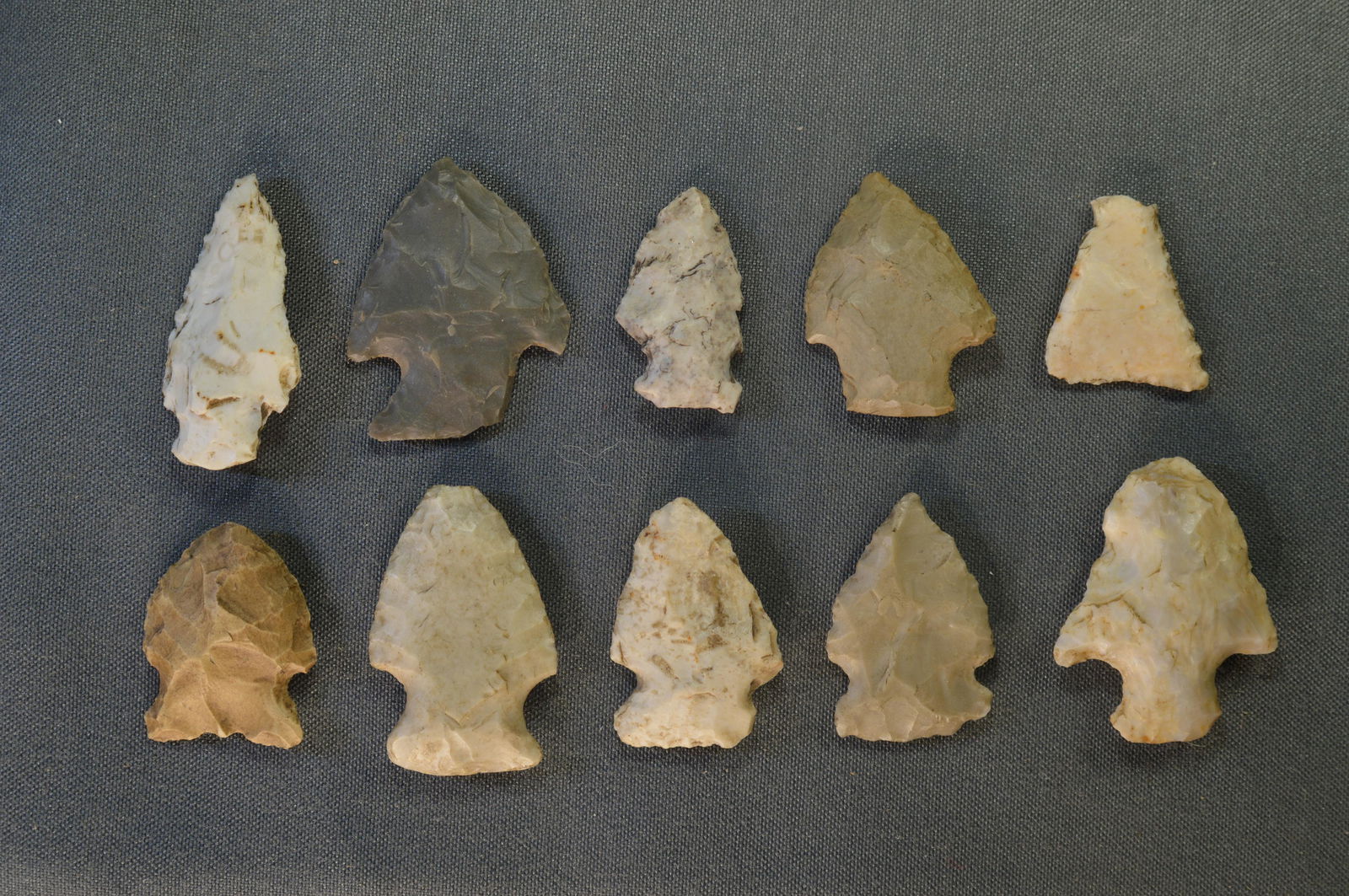 10 Bird Points (1 of 4)