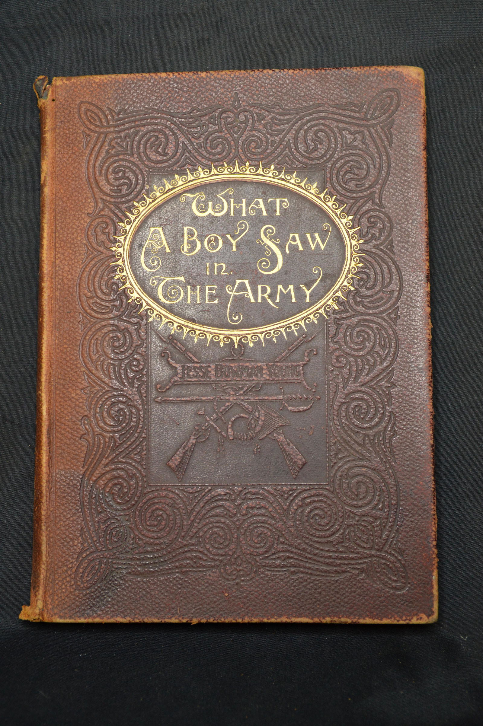 What a Boy Saw in the Army by Jesse Bowman Young 1894 (1 of 10)
