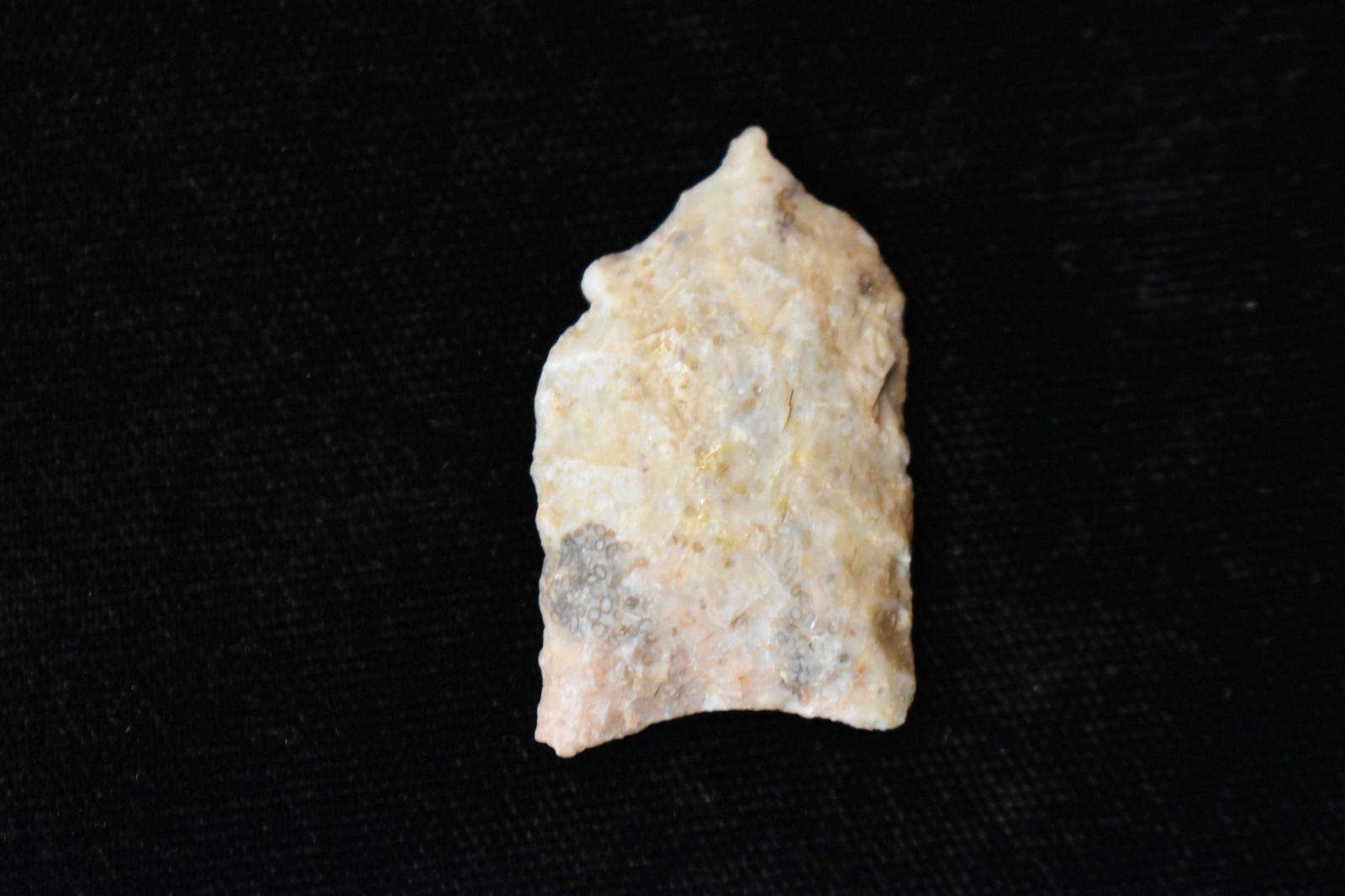 1 1/4" Plainview Arrowhead (1 of 5)