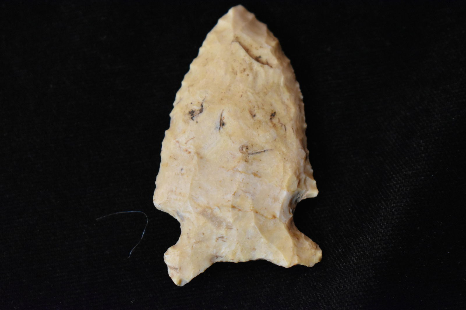 2 1/8" Graham Cave (1 of 4)