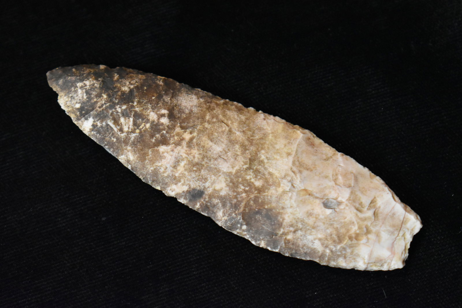 3 1/4" Angostura Arrowhead w/ COA (1 of 6)