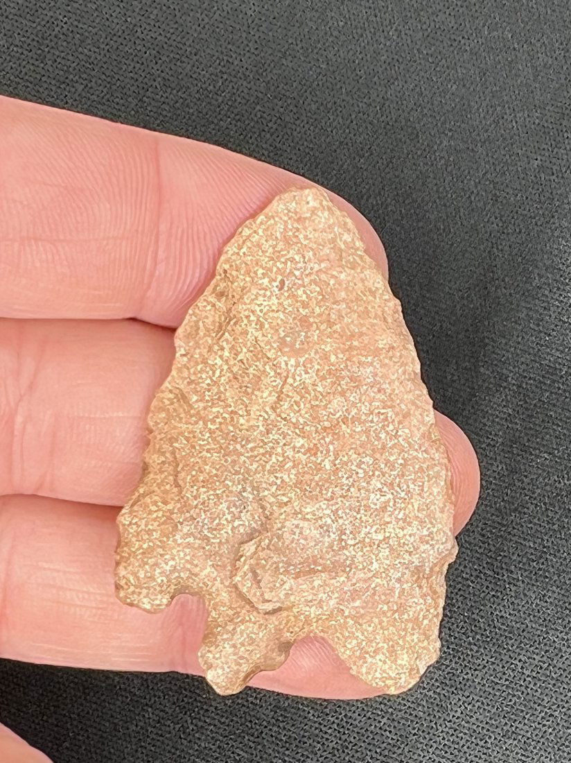 2 1/4" Bifurcate Arrowhead (1 of 9)