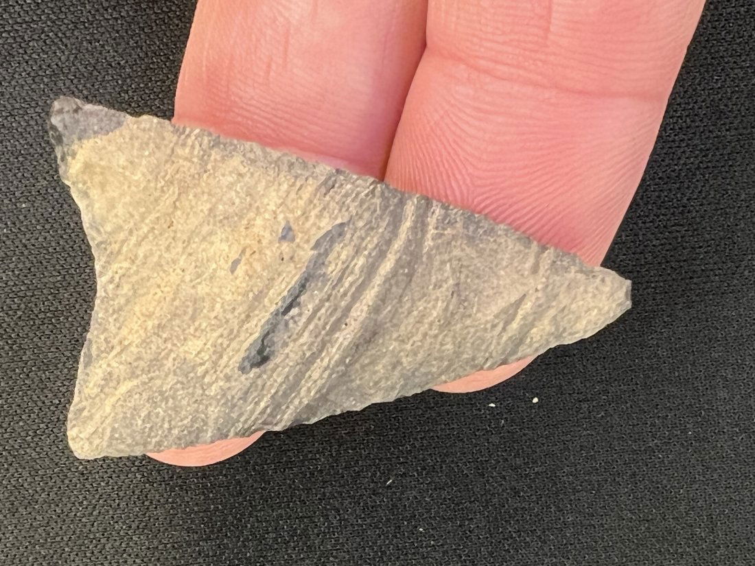 1 7/8" Tortuga Arrowhead (1 of 9)