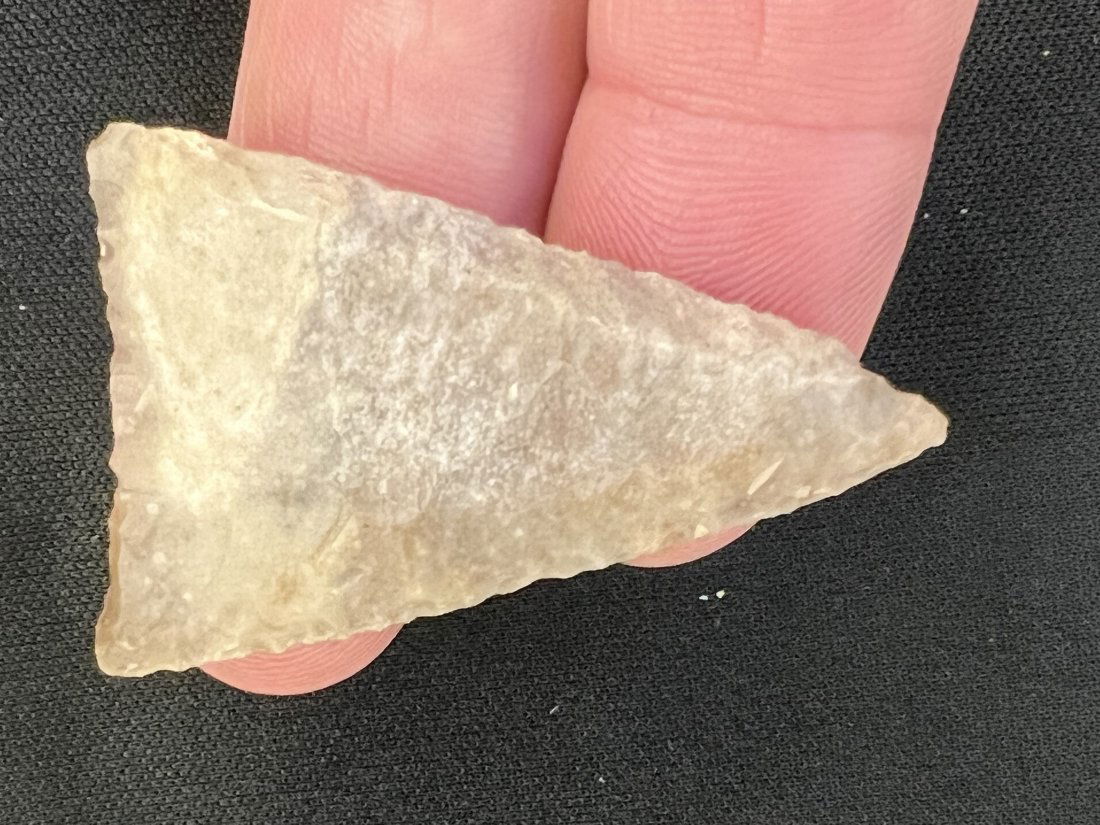 1 15/16" Tortuga Arrowhead (1 of 9)