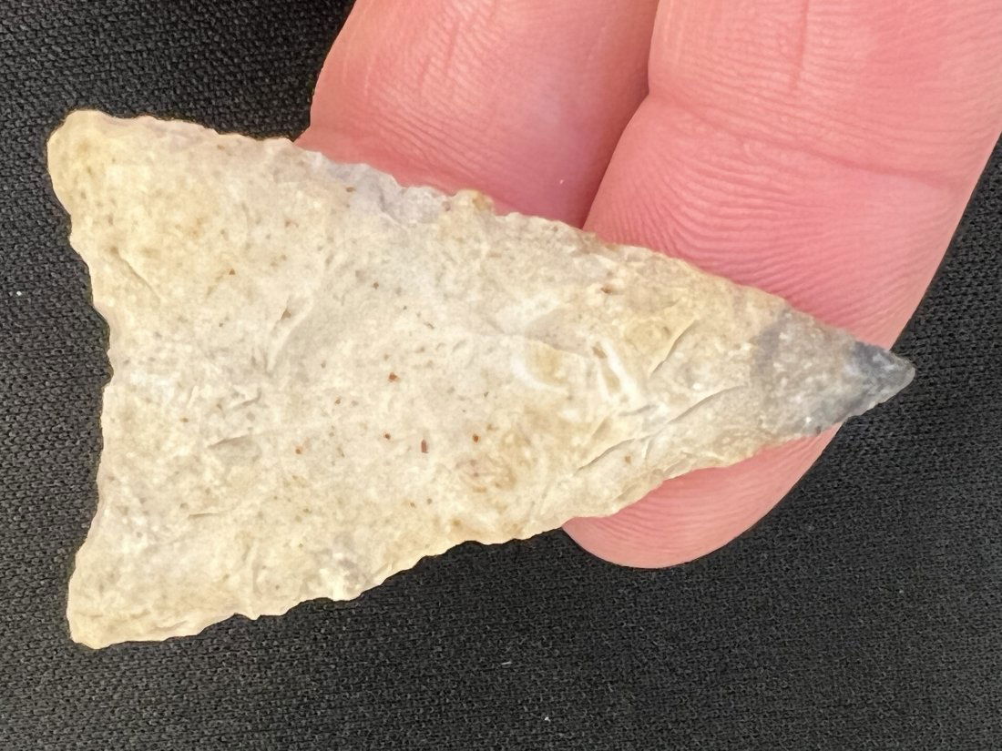 2 1/16" Tortuga Arrowhead (1 of 9)