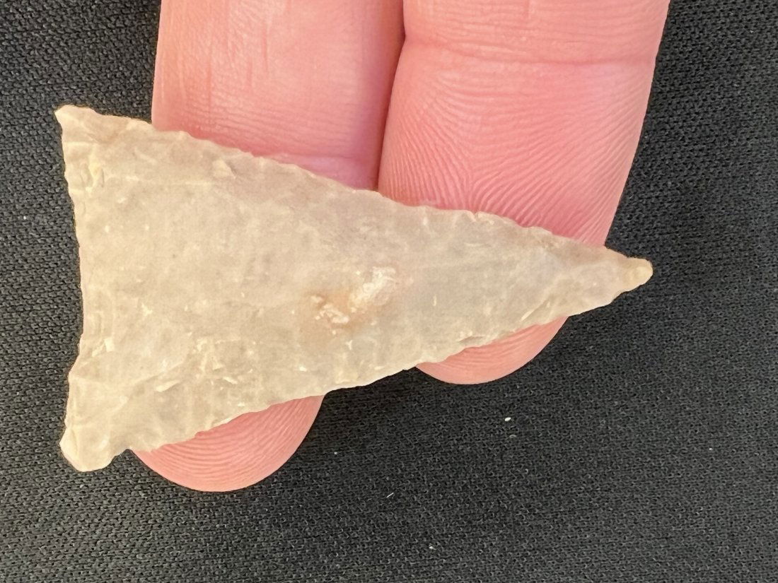 1 15/16" Tortuga Arrowhead (1 of 9)