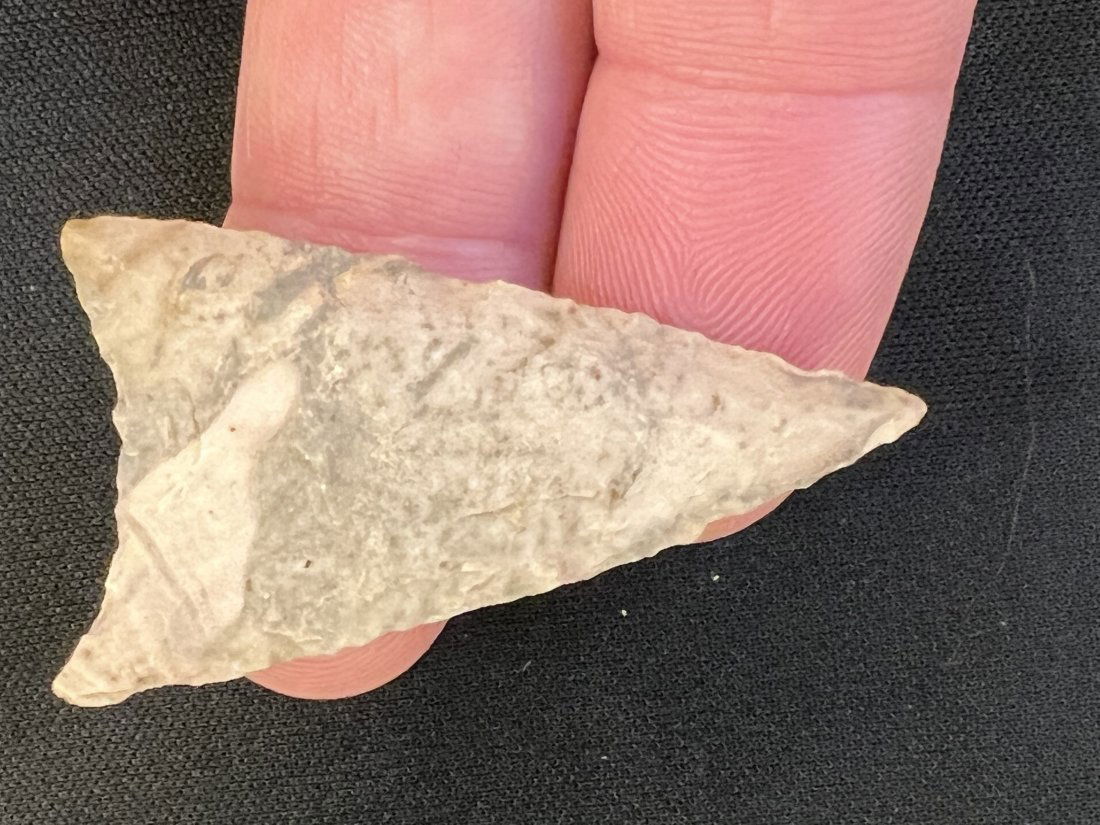 2 " Tortuga Arrowhead (1 of 3)