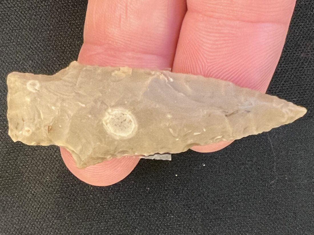 2 3/8" Darl Arrowhead (1 of 3)