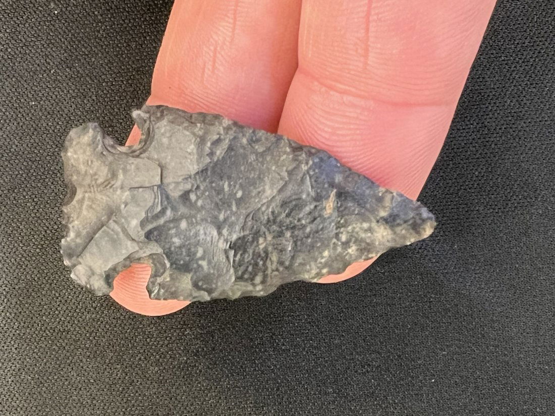 2" Jack's Reef Arrowhead (1 of 9)