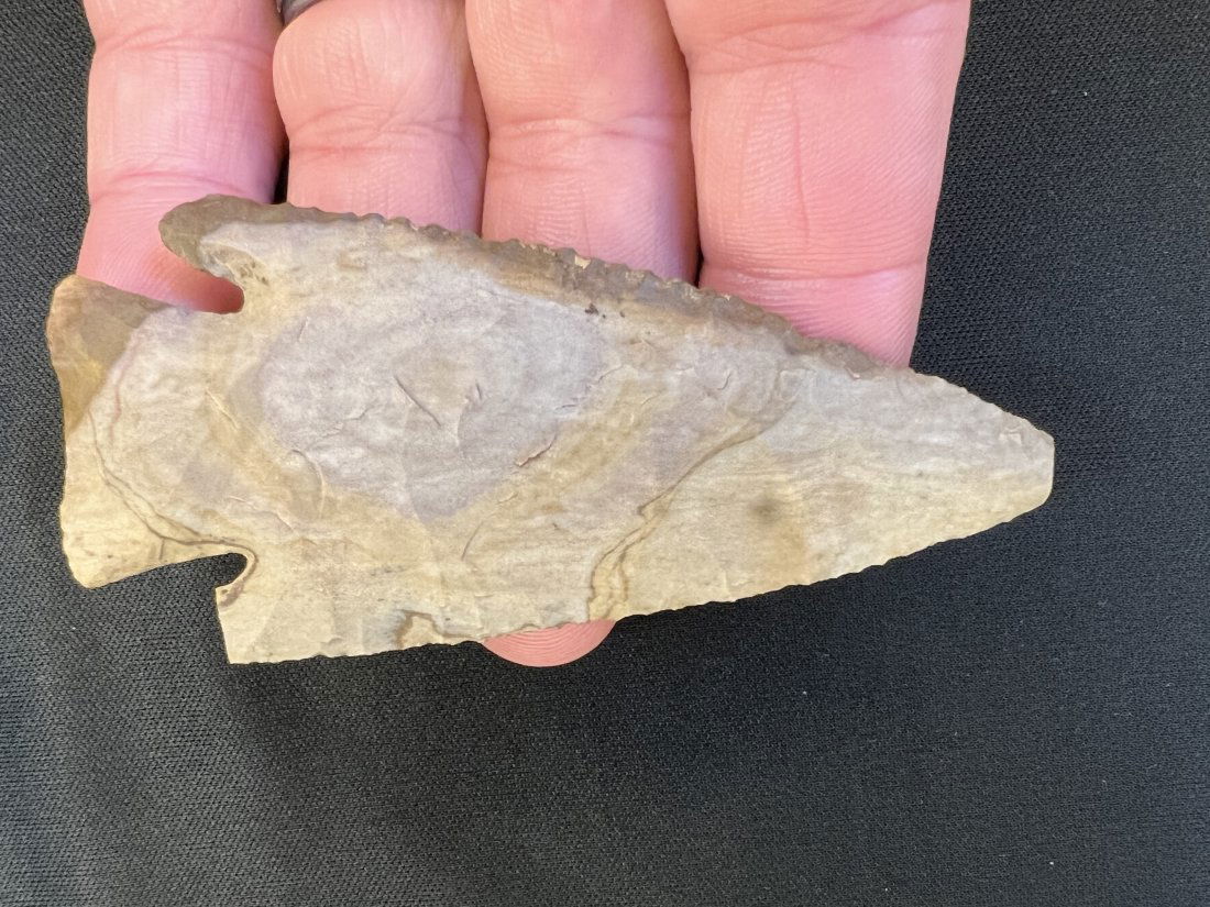 3 11/16" Super Fine Hardin Arrowhead w/ COA. (1 of 10)