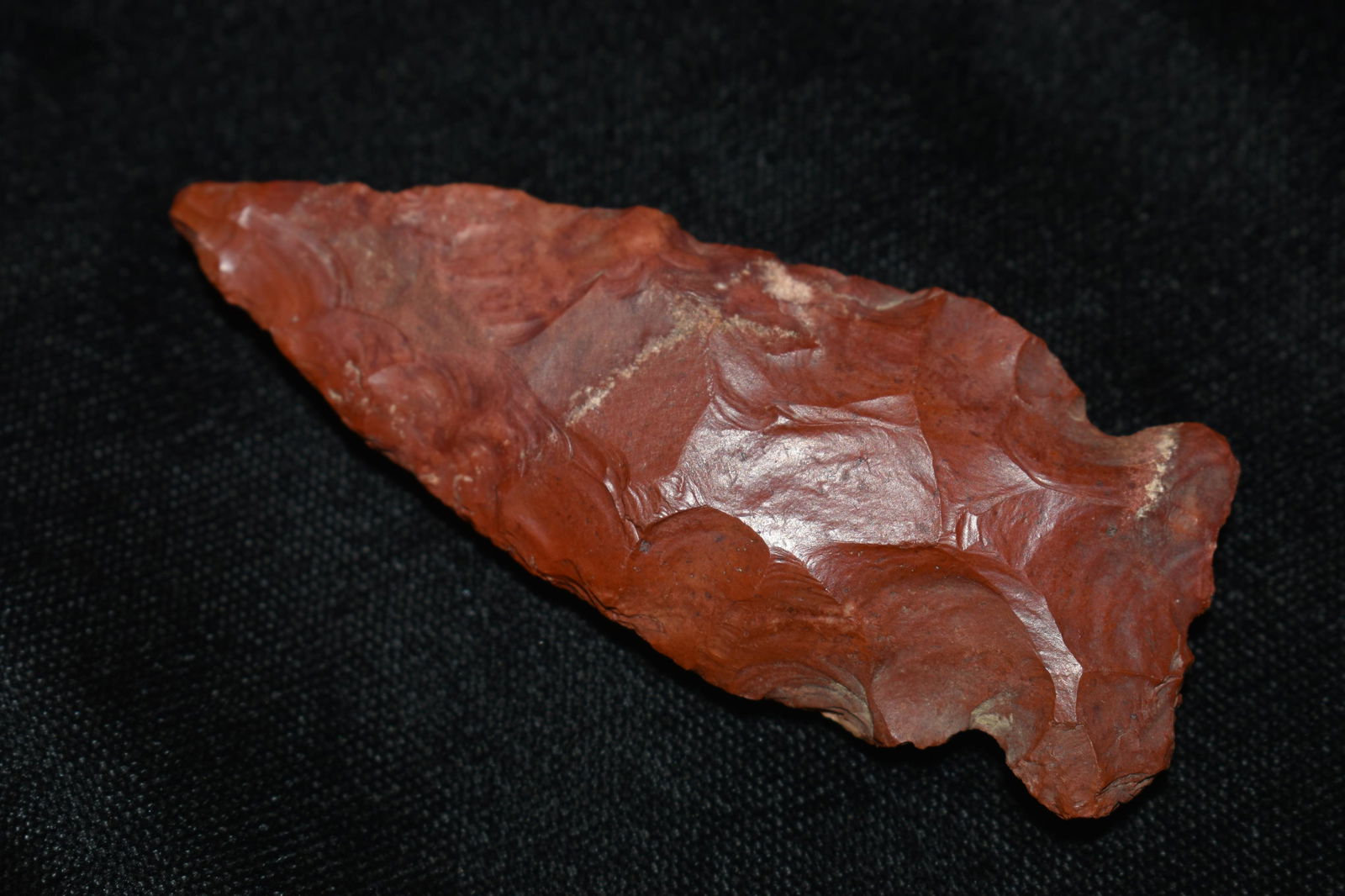 2 3/4" Gorgeous Osceola Arrowhead (1 of 4)