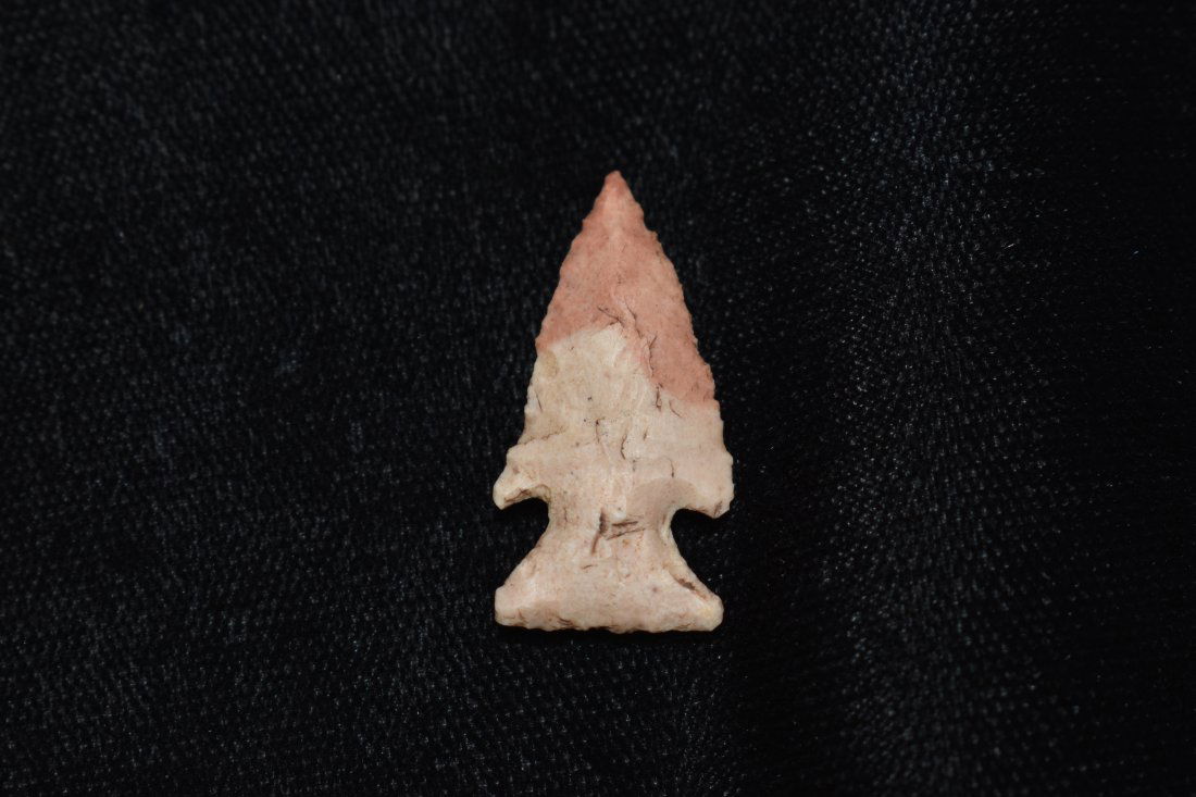 1" Very Fine 2 Toned Bird Point Arrowhead (1 of 4)