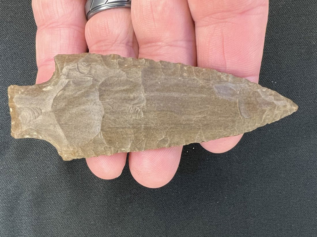 3 15/16" Pickwick w/coa (1 of 10)