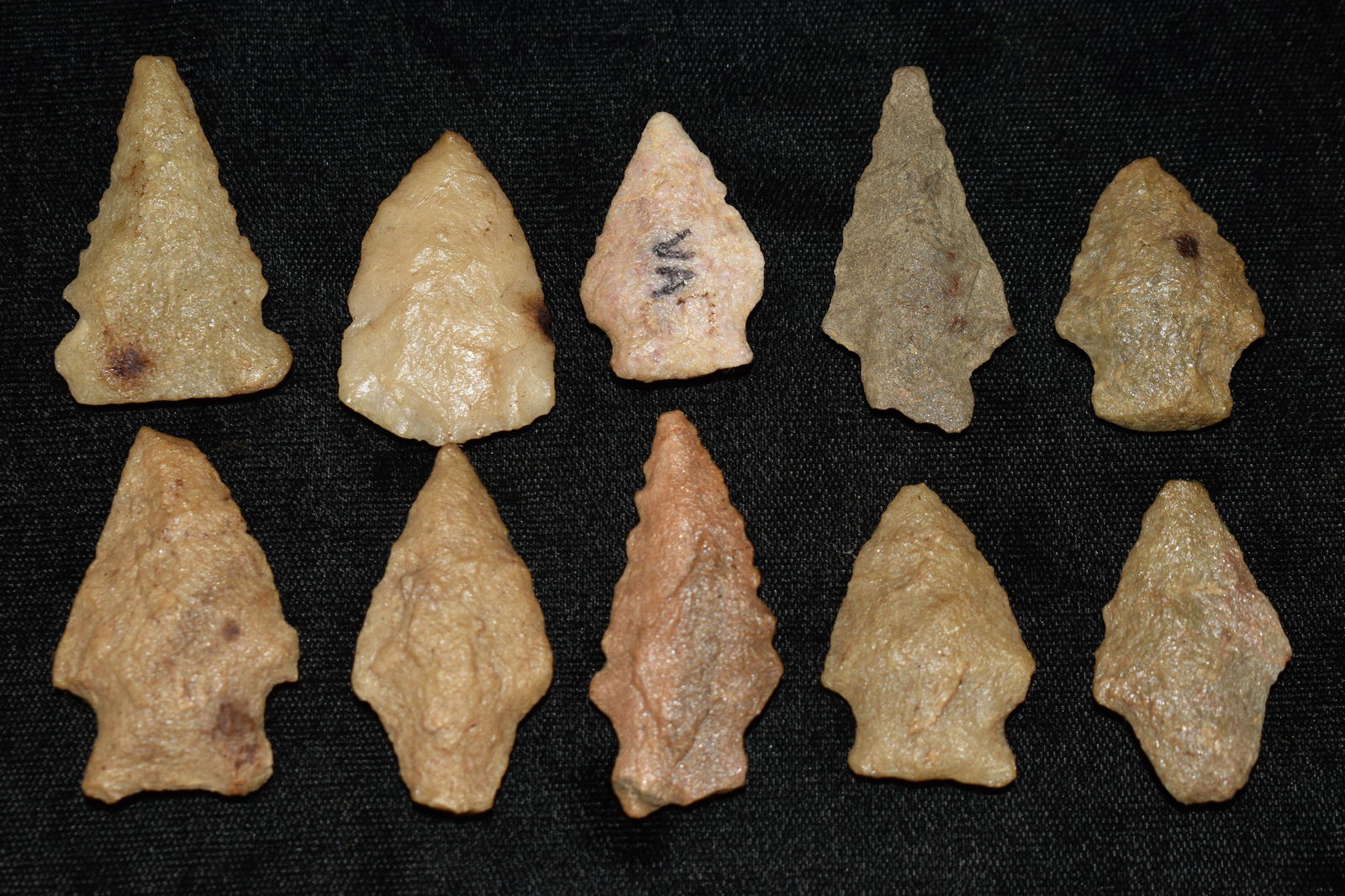 10 Quartzite Arrowheads from Virginia (1 of 3)