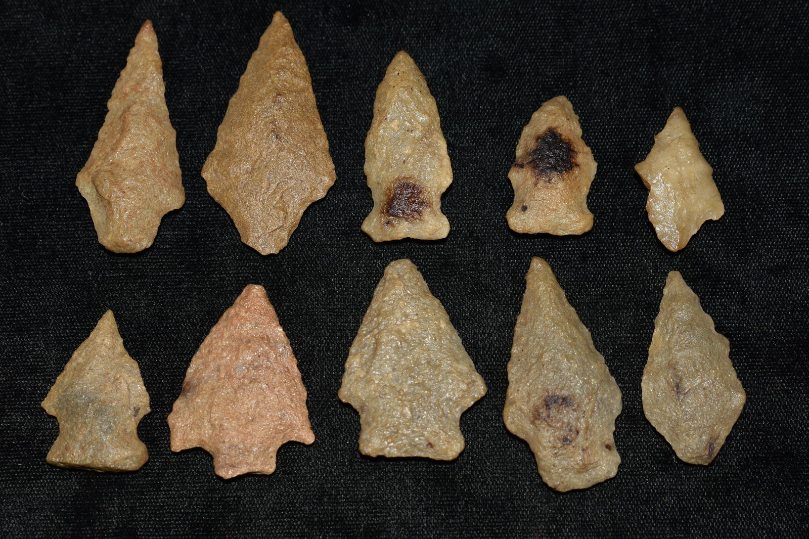 10 Quartzite Arrowheads from Virginia (1 of 3)