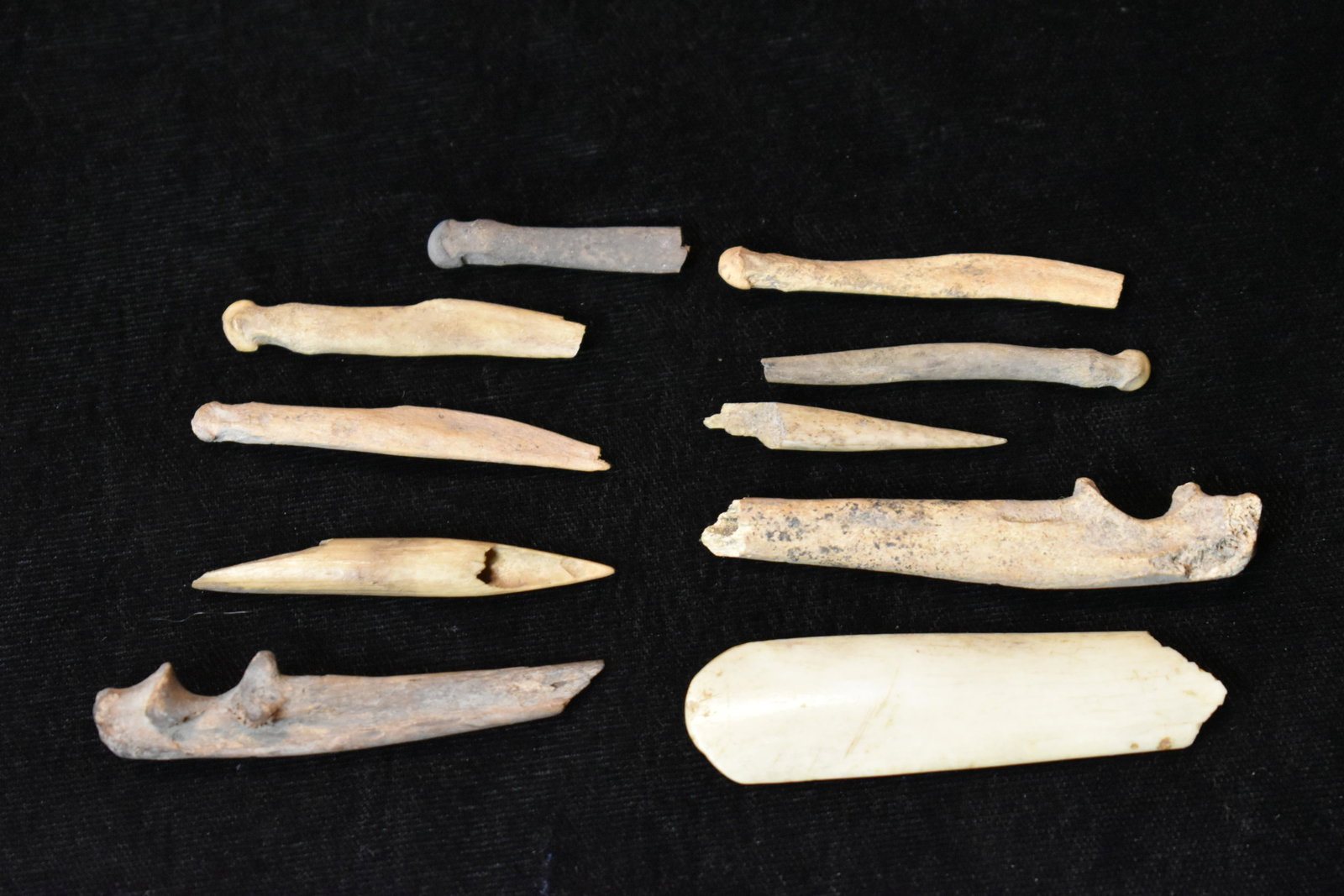 9 Native American Bone Tools: 9 Bone Tools found by in Dent Co. Appear to be punches and awls mostly. Missouri by Martin Hart. 1 1/8" to 2 1/4"