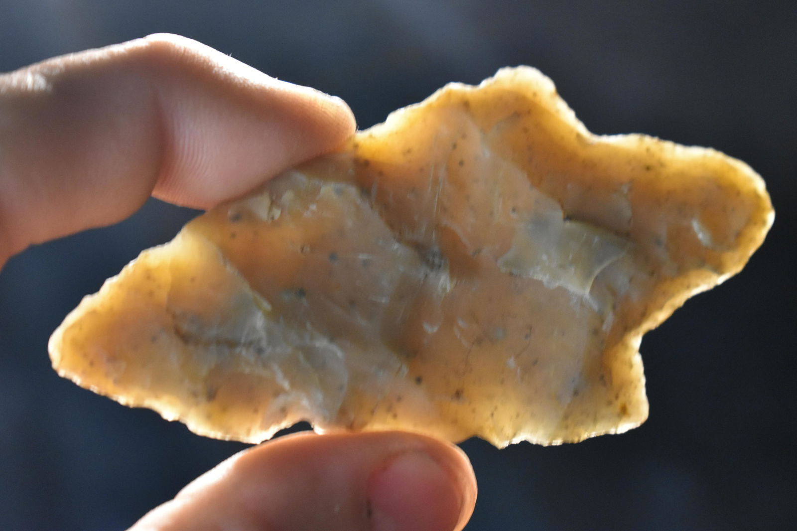 3 5/8" Adena Dickson Found in eastern Iowa Ex Steve Manos Collection (1 of 6)