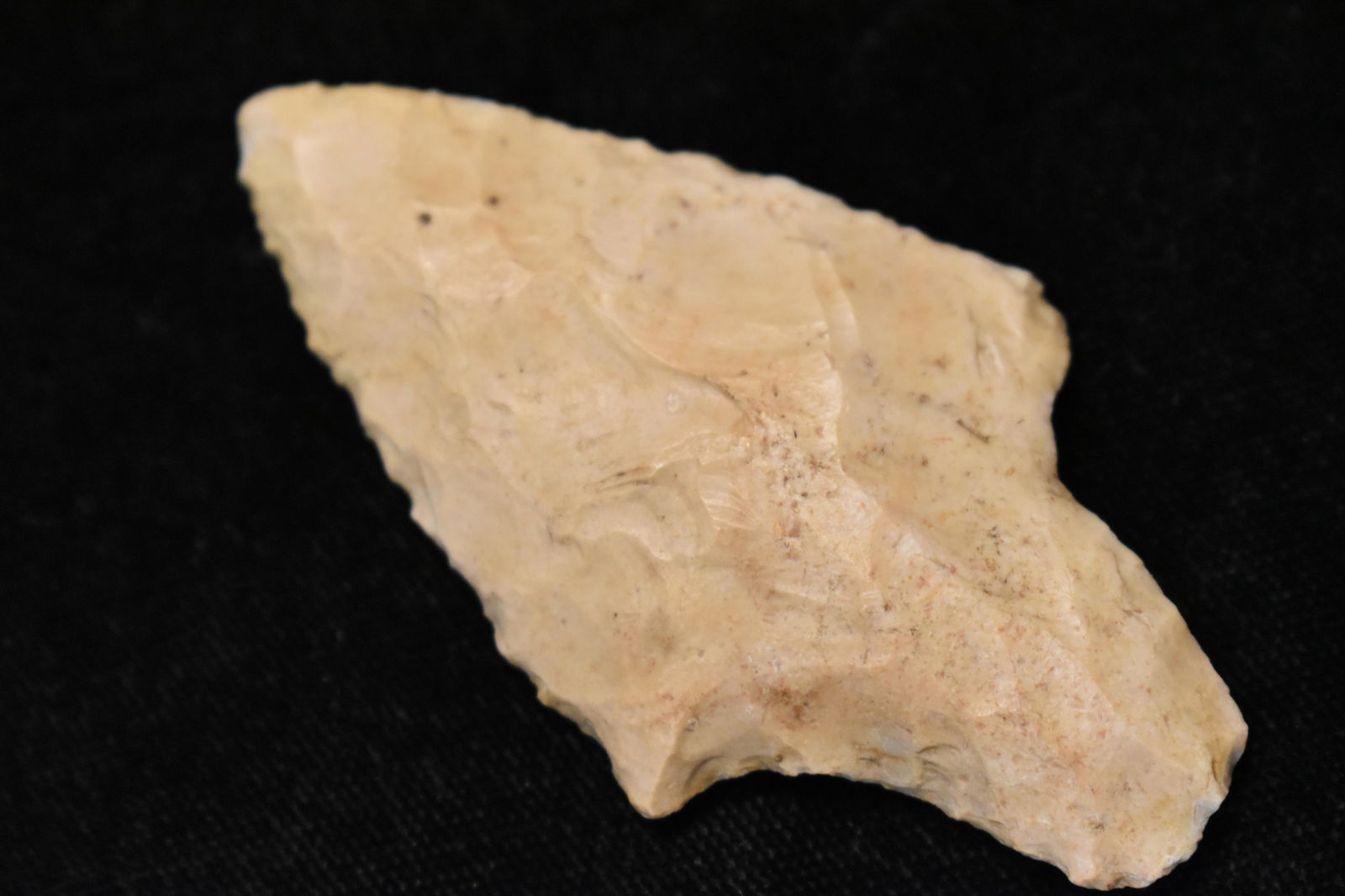 2 5/8" Adena Dickson Found by M. R. Clark in Warren Co., MO Near Marthasville (1 of 5)