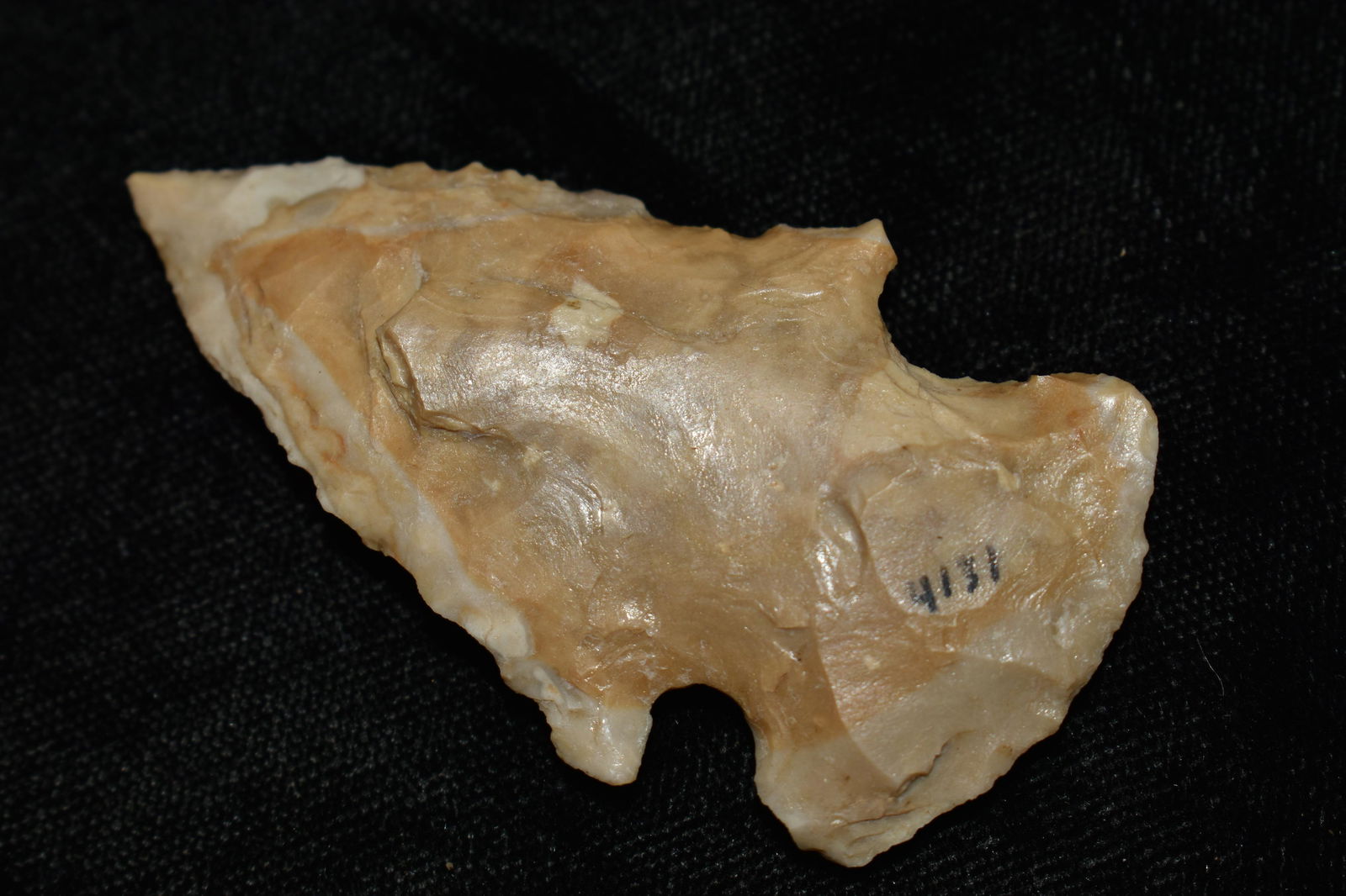 2 3/8" Choteau Chert Cupp Arrowhead found in West Central Missouri.  Ex Steve Manos Collection. (1 of 5)