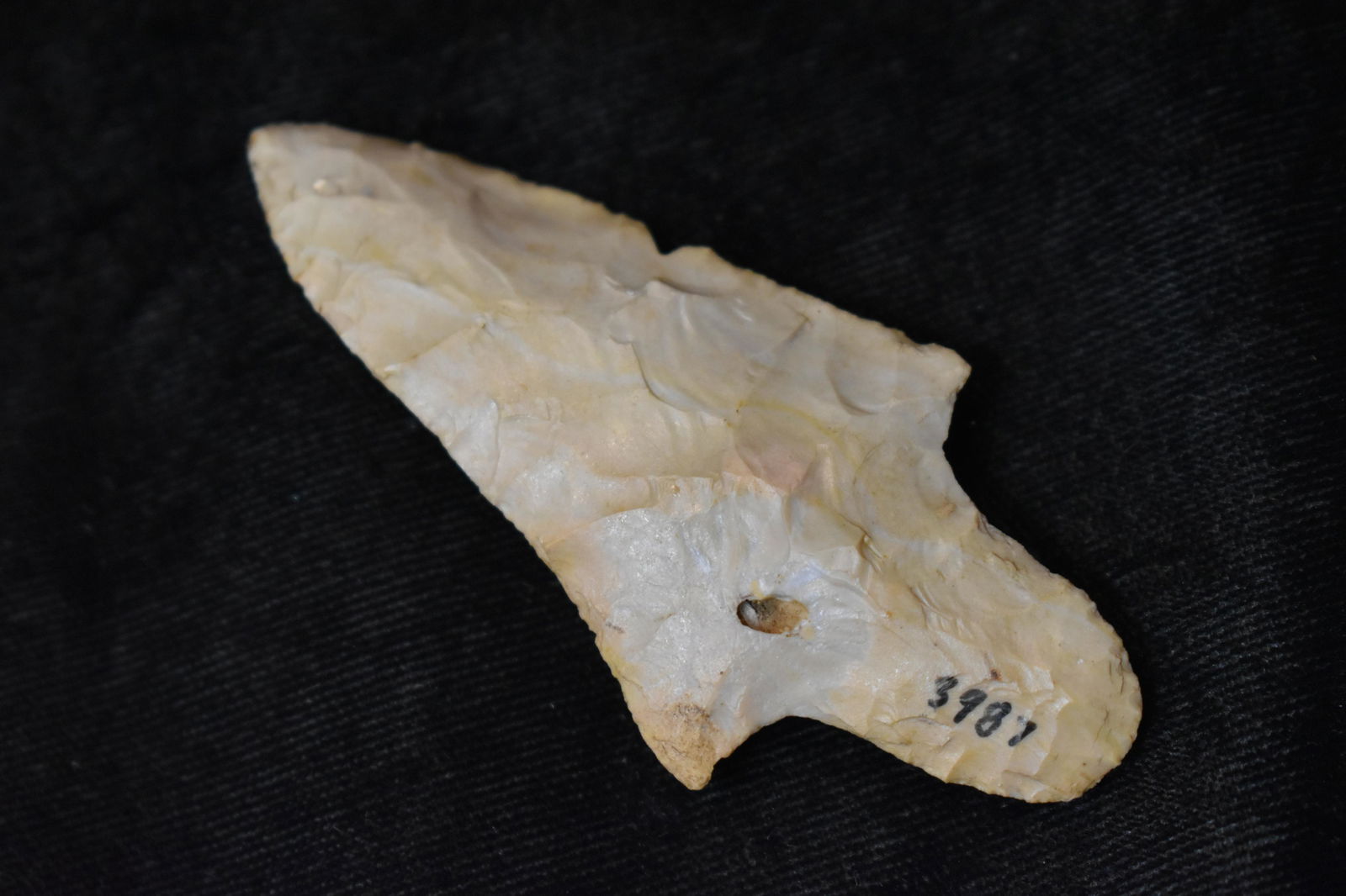 2 3/4" Twisted Adena Dickson found in West Central Missouri.  Ex Steve Manos Collection (1 of 7)