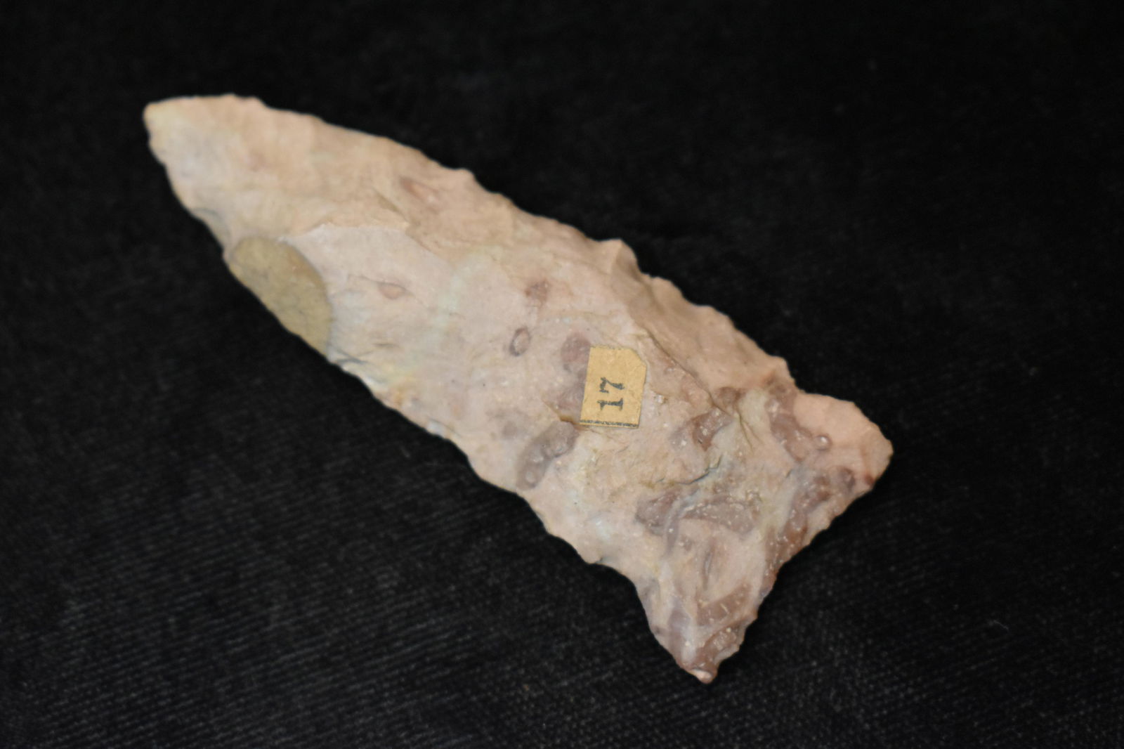 2 3/4" Stillwell found near Madison, WI.  Ex Howard and Brian Rage Collections (1 of 5)