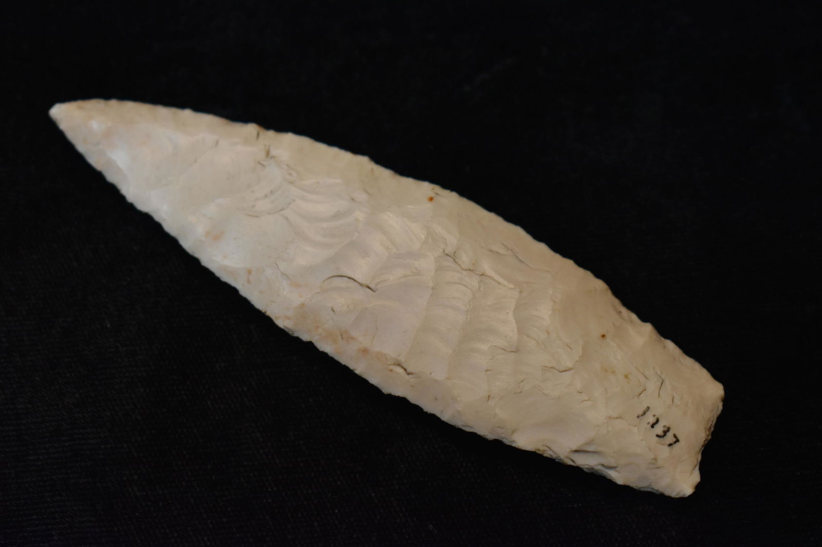 Superb 3 7/8" Angostura found in Madison County, IL near Alton.  Ryan Keele COA.  Ex Steve Menos (1 of 8)