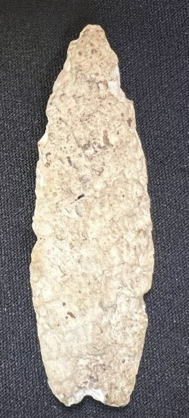 Angostura 3 5/16" Found in Cass Co. IL.: Has some nicks on it but still a desirable point type. Found in Cass Co. IL. 1 1/16" wide.