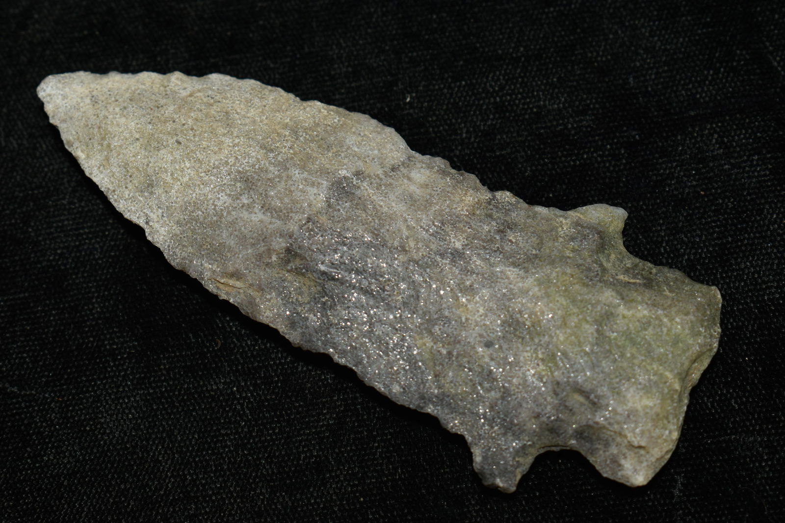 3 9/16" Oolithic Etley found in Cooper Co, Mo by James Hoff Keele COA (1 of 8)