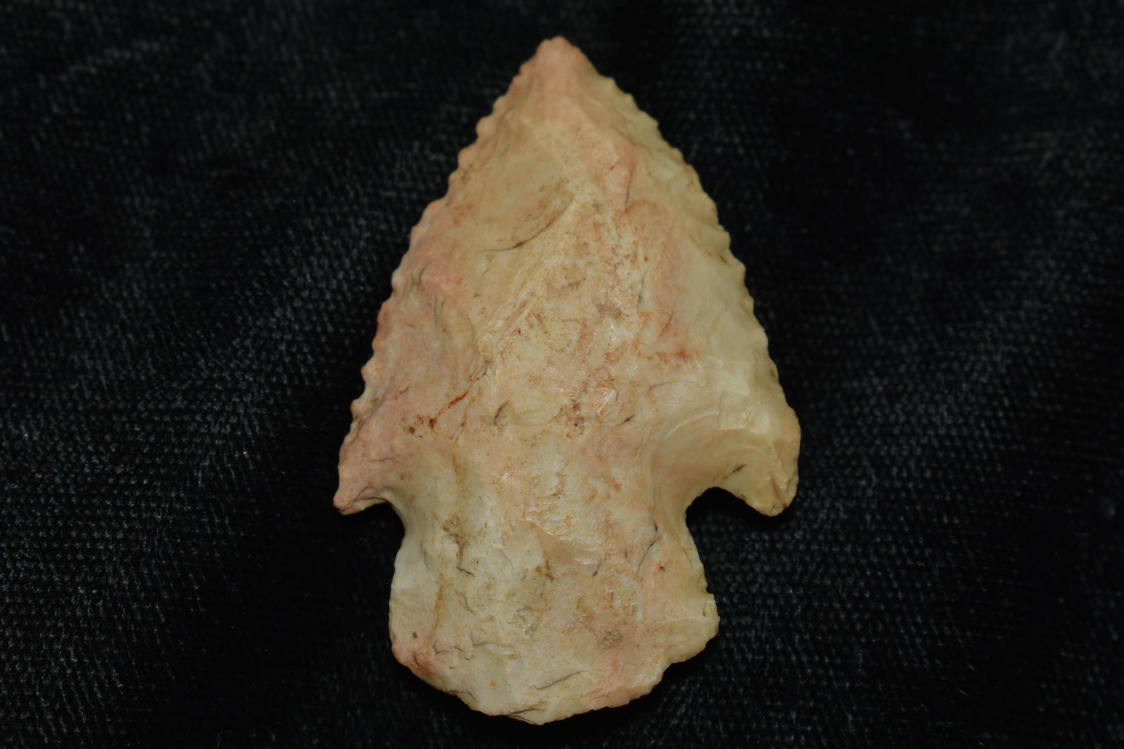 1 3/4" Serrated Big Creek found in NE Arkansas.  Ex Steve Manos Collection (1 of 5)