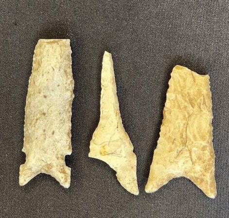 "Heartbreakers" Daltons & Graham Cave longest is 2 7/8" Found by Chuck Blookgood in Pike Co. (1 of 2)