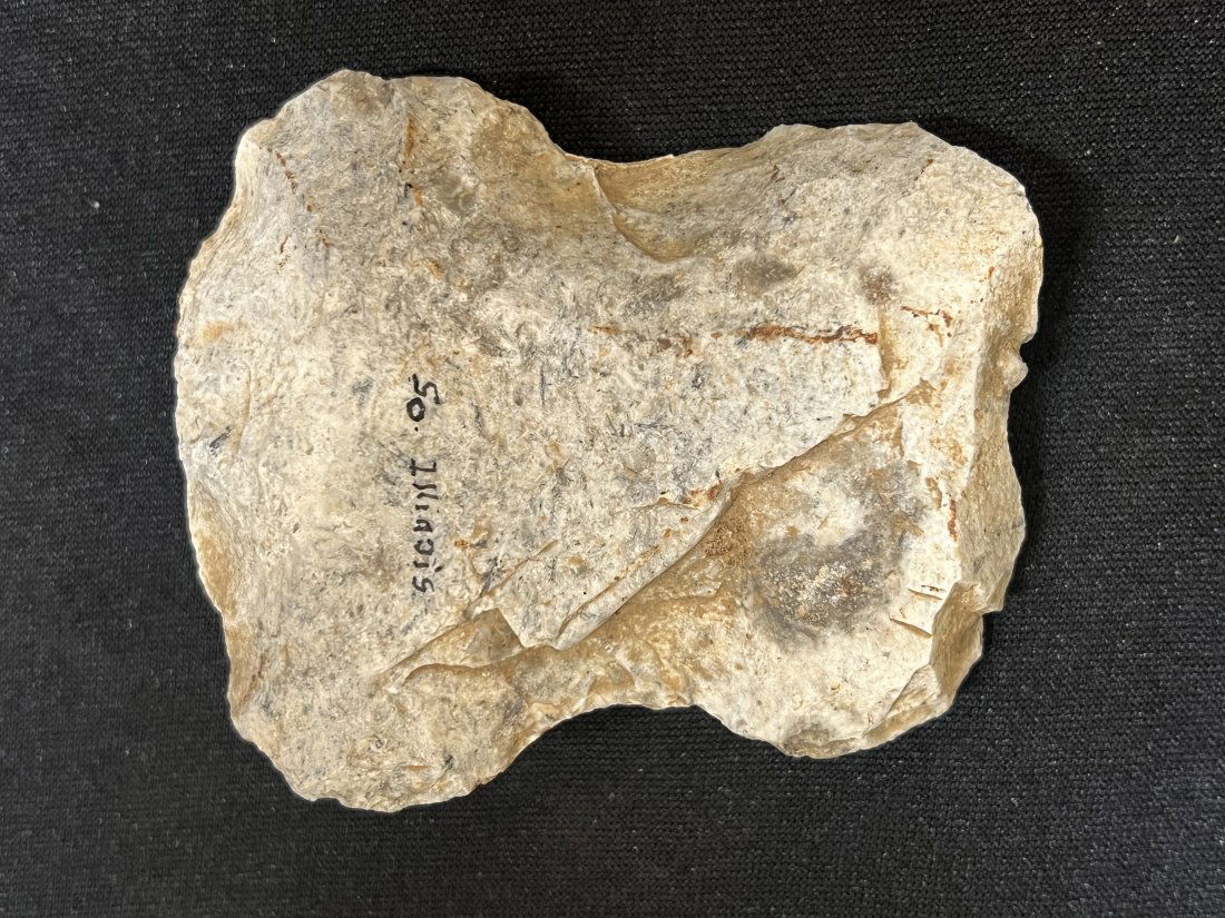 Flint Axe 3 1/8" Found in Southern Illinois. 2 5/8" wide. (1 of 6)