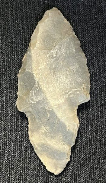 2 5/16" Turkey Tail W/COA (1 of 5)