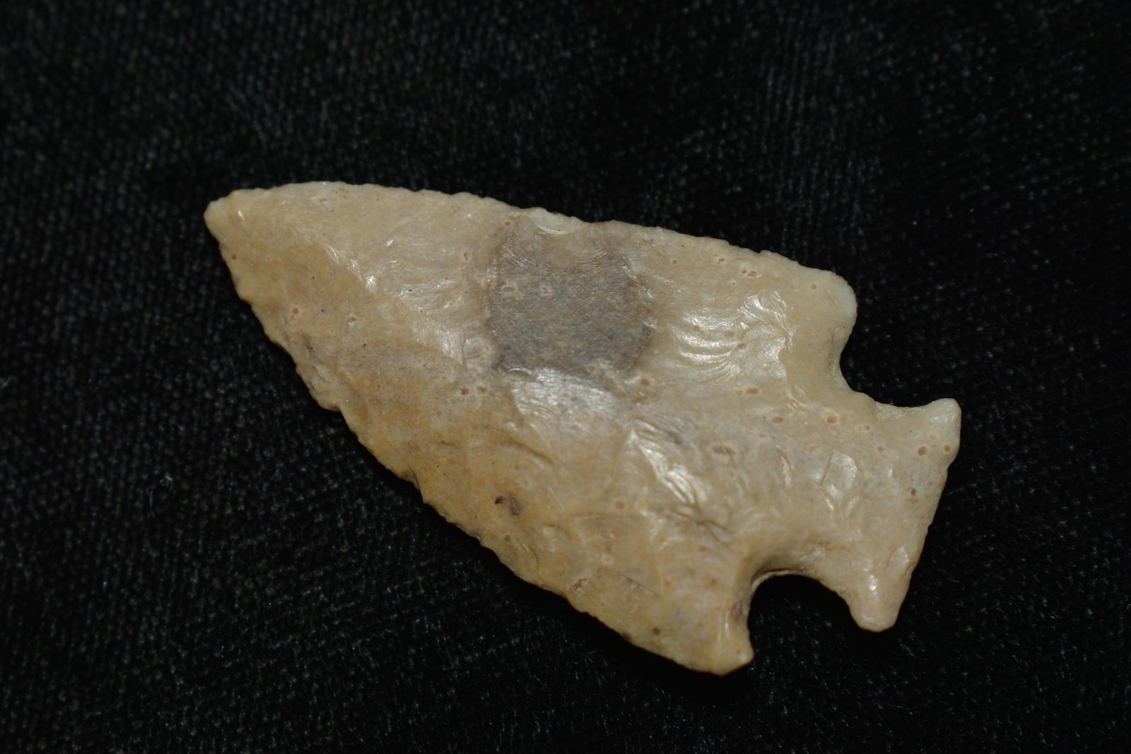 1 5/8" Fancy Bottleneck found in Scotland county., Mo by Rodney Gray: 1 5/8" Fancy Bottleneck found in Scotland county., Mo by Rodney Gray Ancient prehistoric authentic native american artifacts.