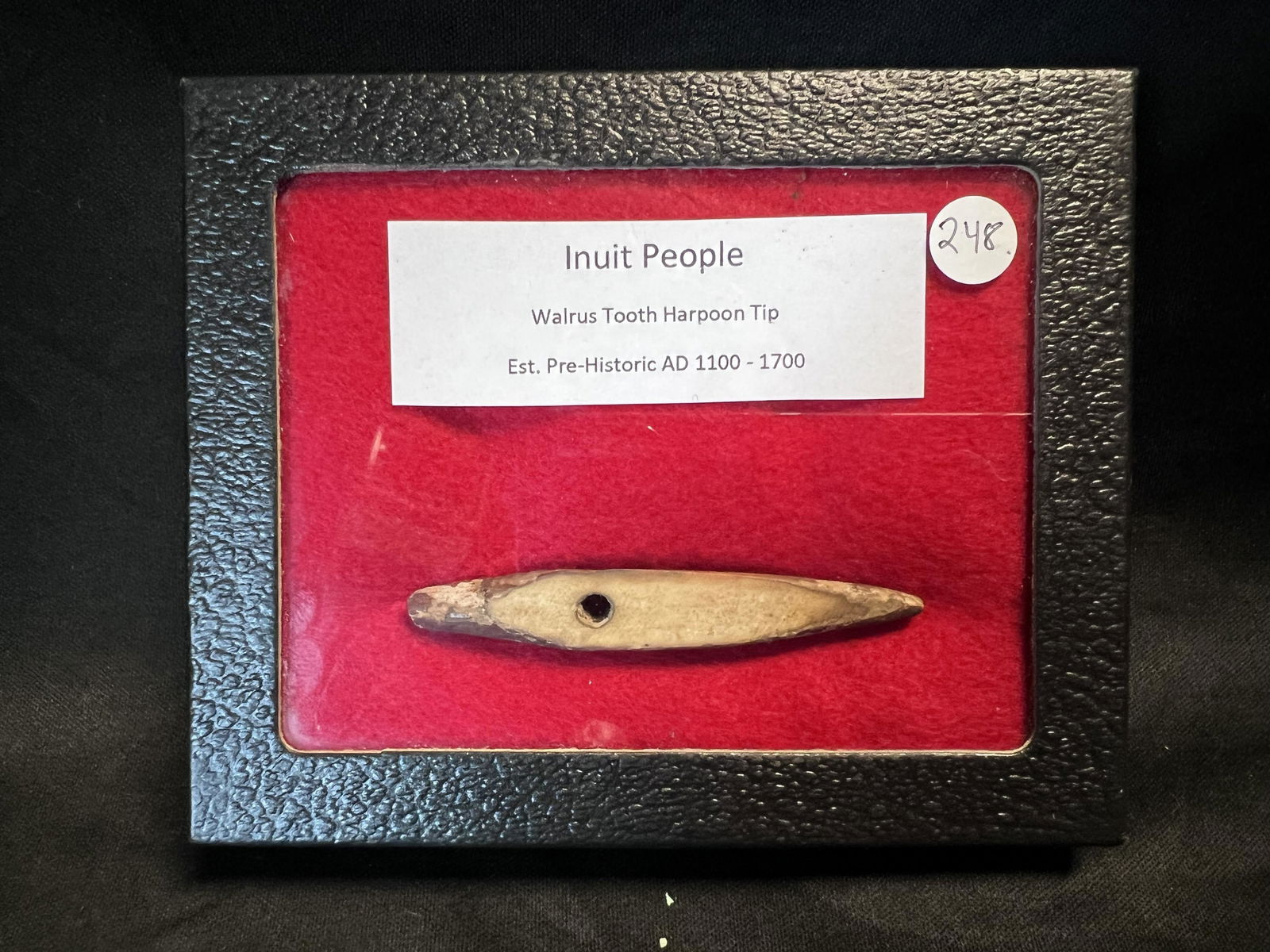 3 1/16" Walrus Tooth Harpoon Tip. Inuit People Est. Pre-Historic A.D. 1100-1700. Ex: John Bennett: 3 1/16" Walrus Tooth Harpoon Tip. Inuit People Est. Pre-Historic A.D. 1100-1700. Ex: John Bennett collection. Ancient prehistoric authentic native american artifacts.
