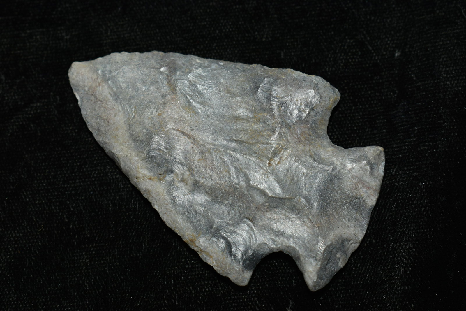 Outstanding Colorful 2 3/4 Snyders Arrowhead found in Scotland Co., Mo: Outstanding Colorful 2 3/4 Snyders Arrowhead found in Scotland Co., Mo by Rodney Gray. Ancient prehistoric authentic native american artifacts.