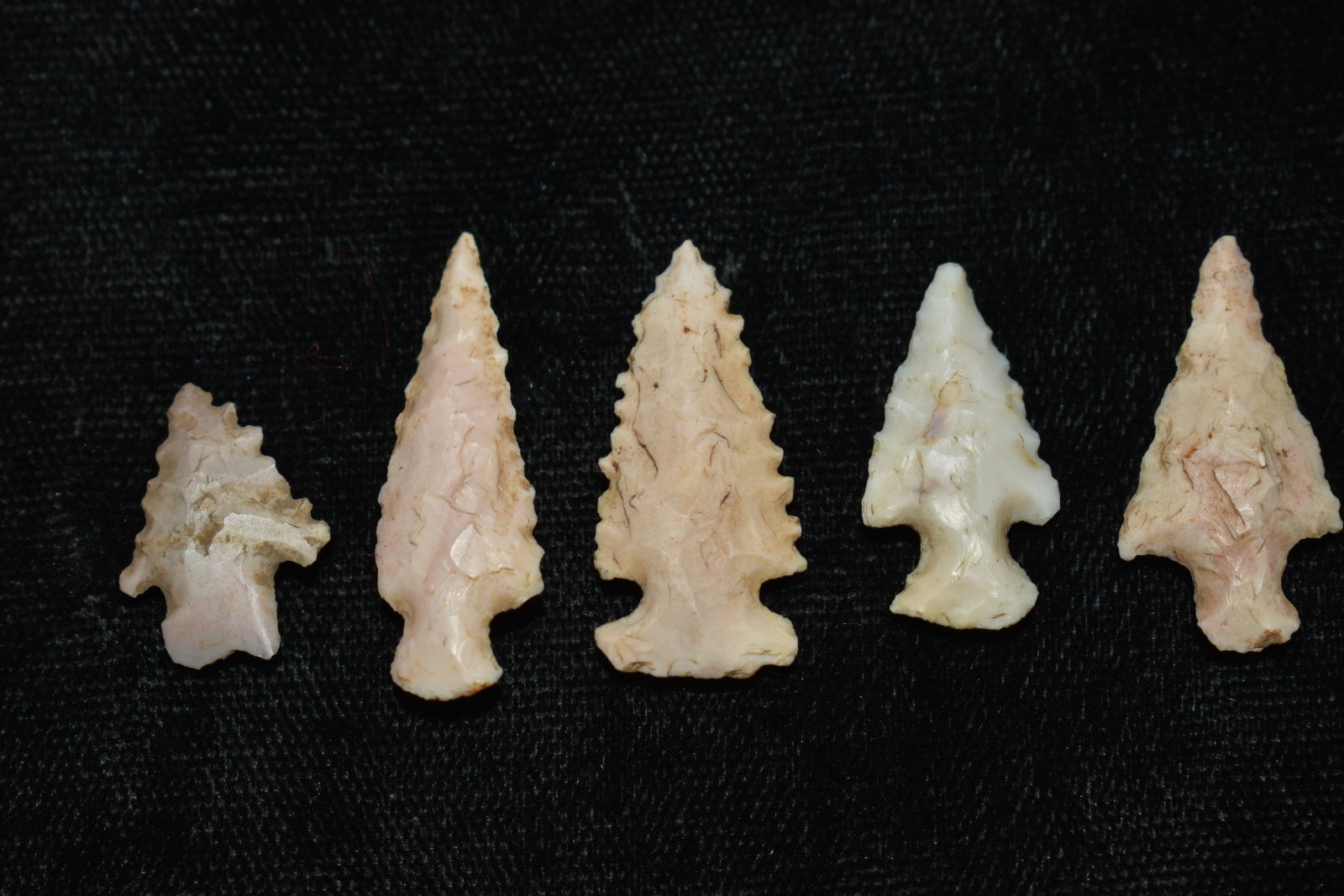 5 Bird points Found in Dent Co, Mo by members of the Hart Family: 5 Bird points Found in Dent Co, Mo by members of the Hart Family. Sizes vary from 3/4" to 1 1/16" Ancient prehistoric authentic native american artifacts.