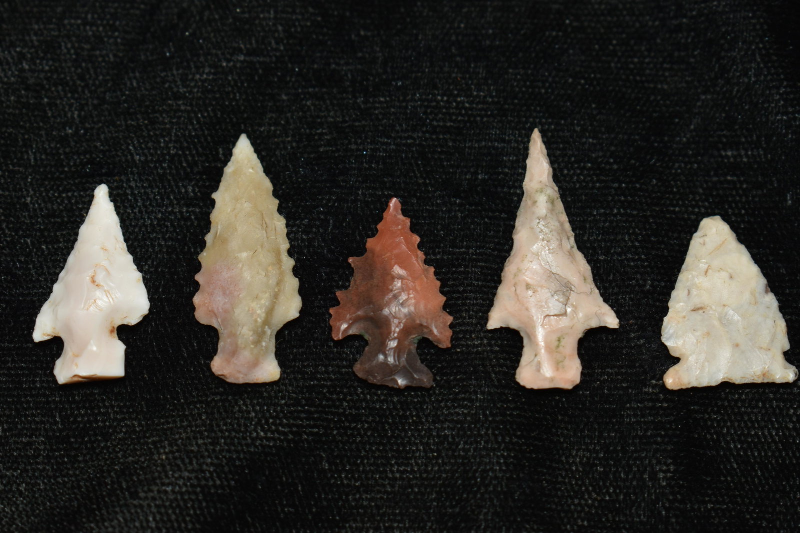 5 Bird points Found in Dent Co, Mo by members of the Hart Family: 5 Bird points Found in Dent Co, Mo by members of the Hart Family. Sizes vary from 5/8" to 1 1/16" Ancient prehistoric authentic native american artifacts.