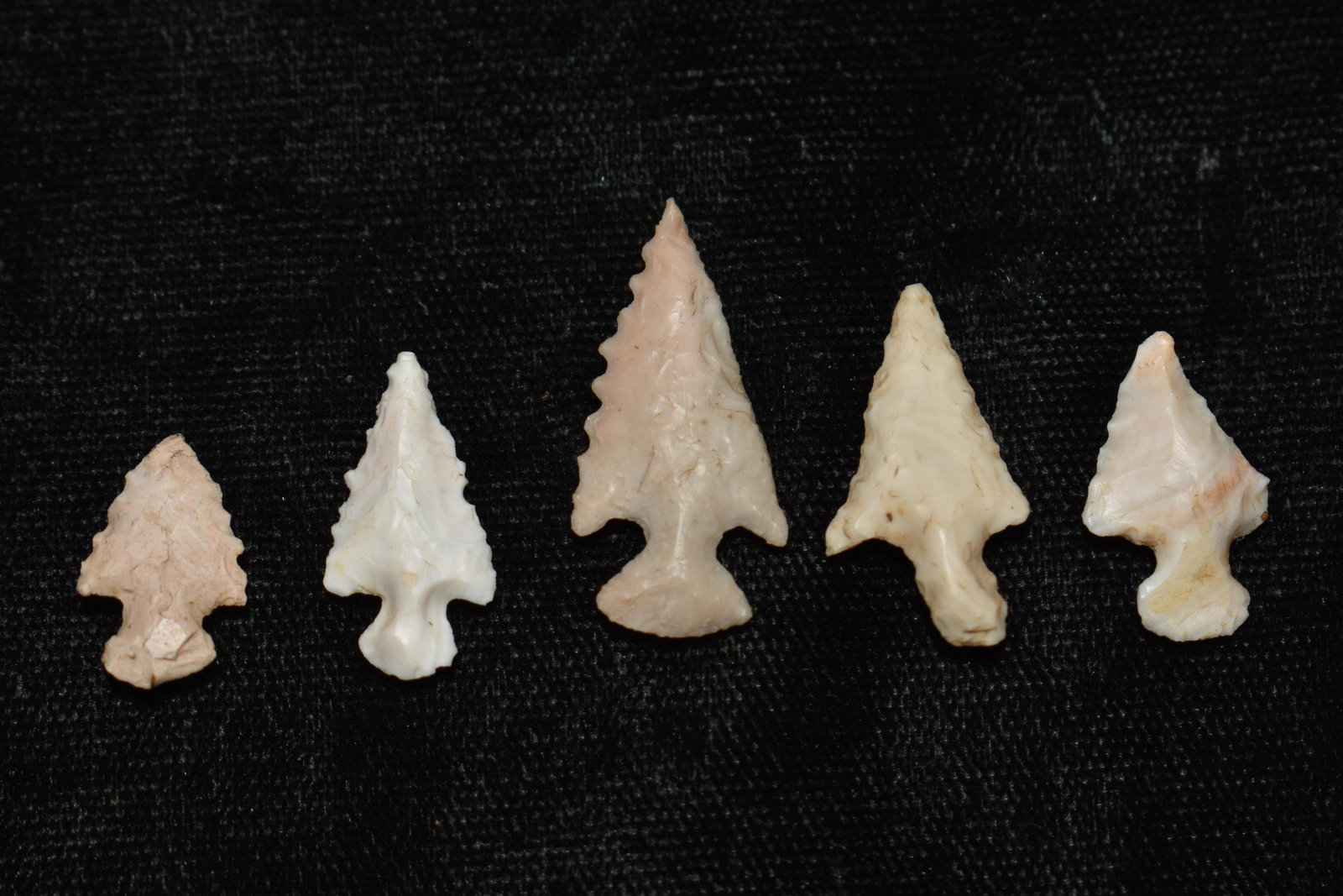 5 Bird points Found in Dent Co, Mo by members of the Hart Family: 5 Bird points Found in Dent Co, Mo by members of the Hart Family. Sizes vary from 5/8" to 1 1/16" Ancient prehistoric authentic native american artifacts.