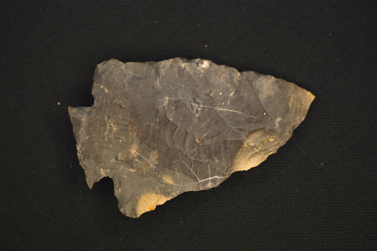 Decatur 2 3/16" Arrowhead Ex: Walt McIntyre collection (1 of 9)