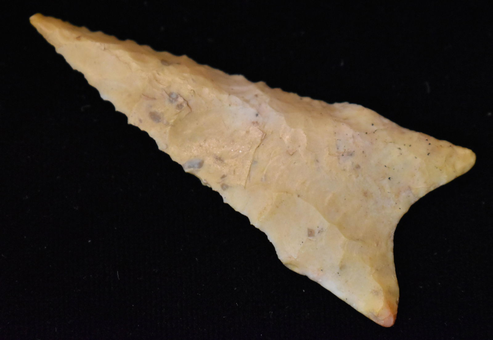 2 3/8 Super Fine Classic Dalton found in Cooper Co., Mo (1 of 7)