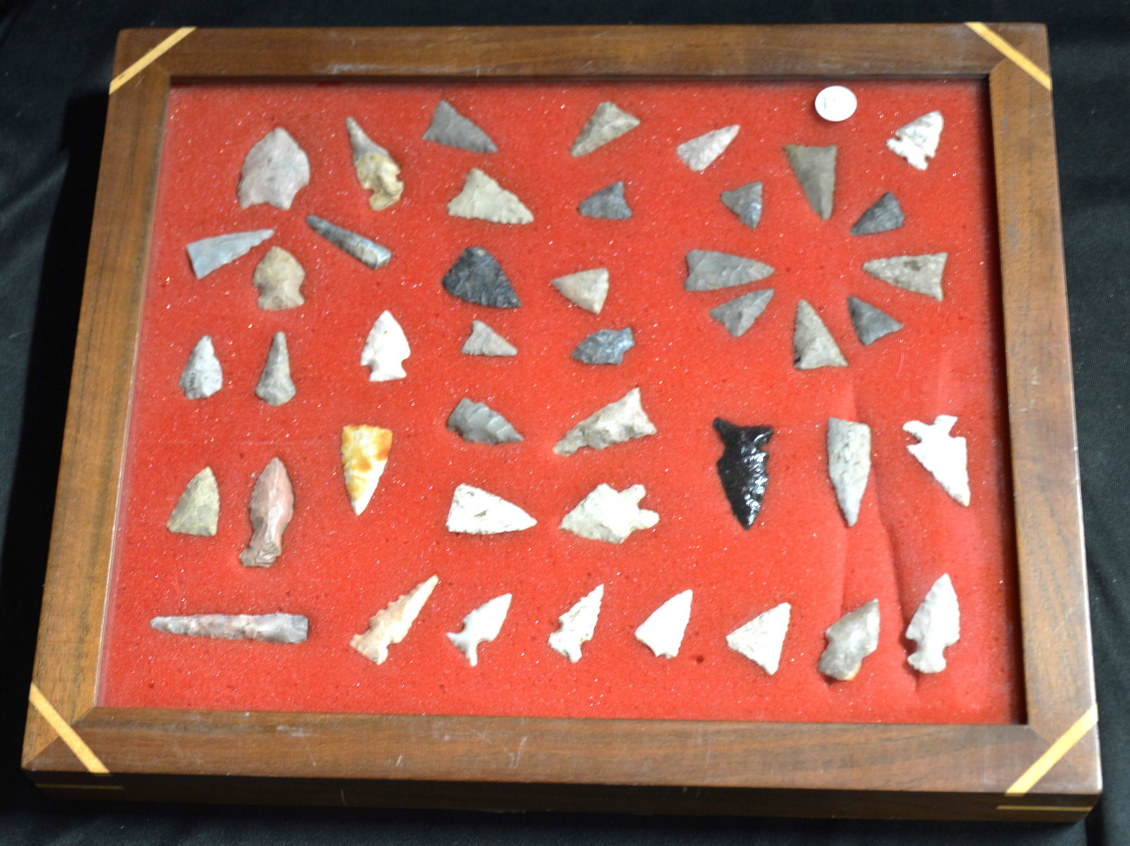 44 Bird Points in an Oak Frame.  Most found in Missouri and Illinois.  The 10" x 12" Frame is (1 of 6)
