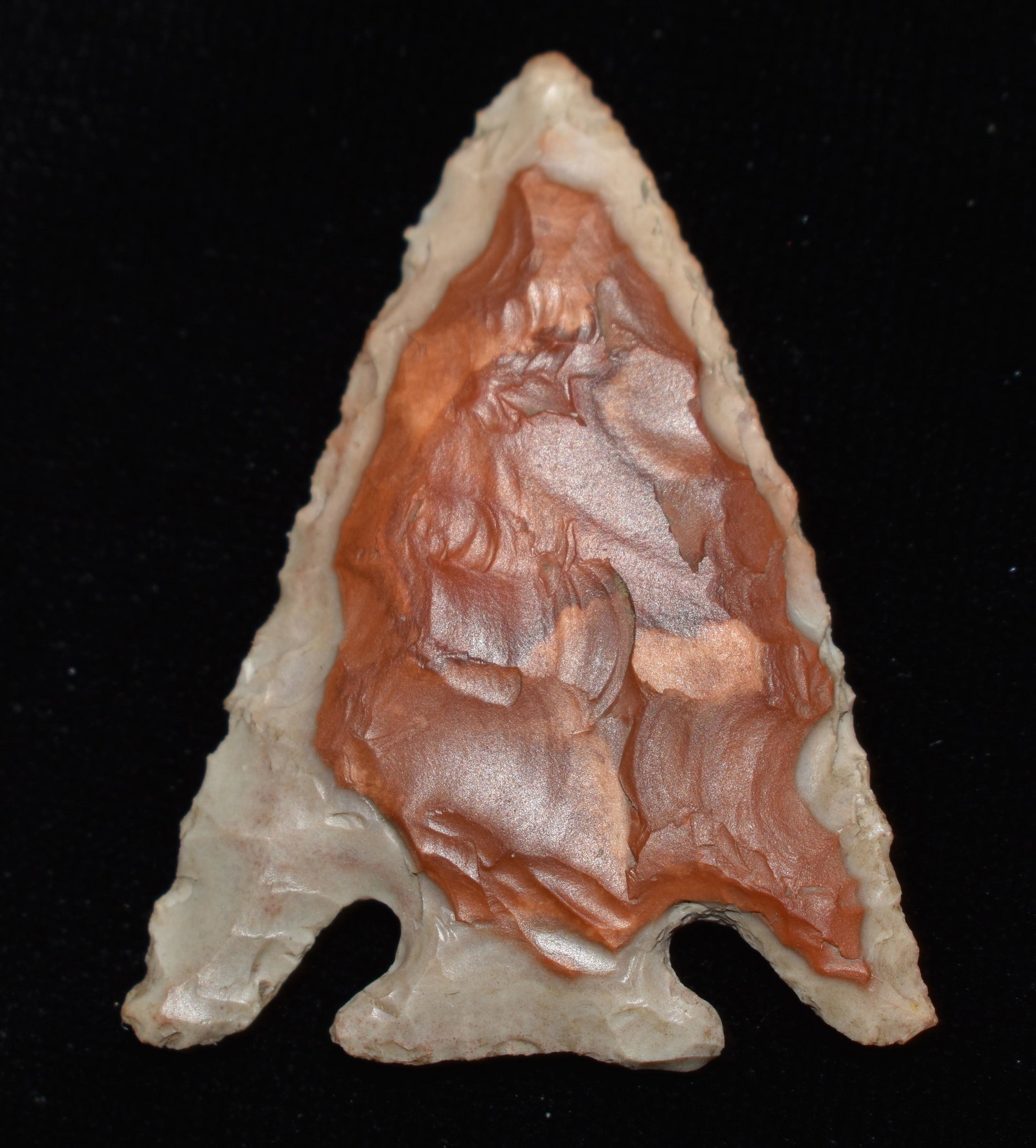 1 7/16" Colorful Grey Tabular Pelican Lake w/ Keele COA (1 of 8)